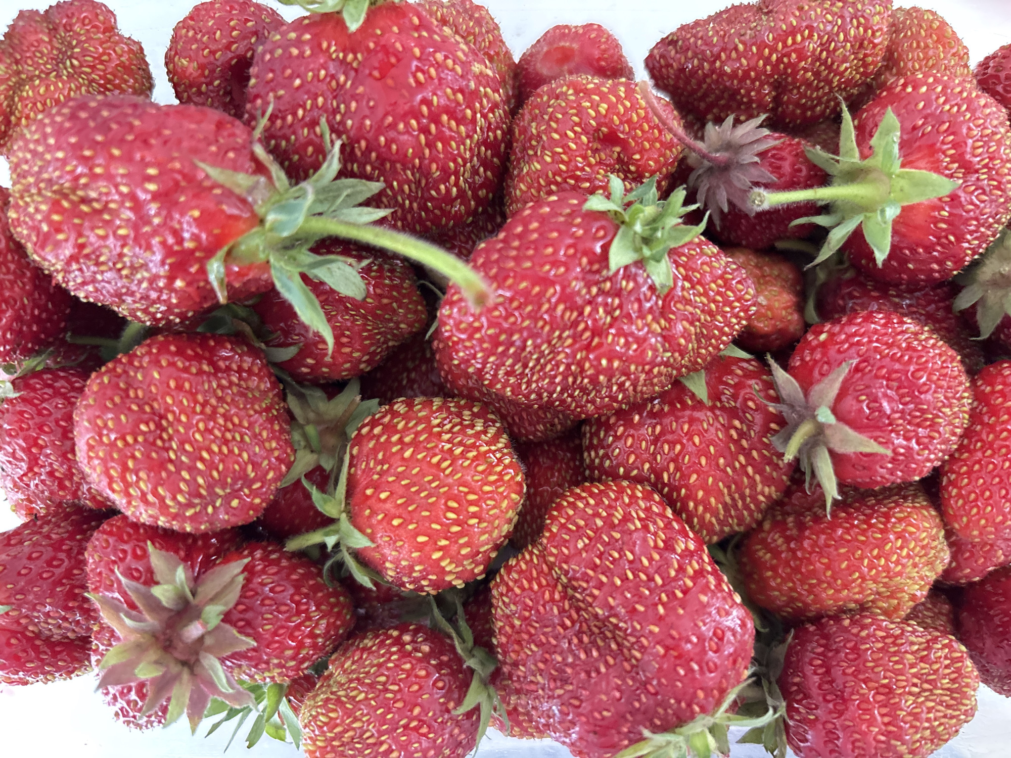 A close-up, overhead view of a large pile of ripe, red strawberries is presented. The strawberries are varied in size and shape, with many showing visible seeds on their surface. Some strawberries have their green stems and leaves attached. The background is a plain white surface. This image does not provide any information about the city of Chaikovsky, Russia.