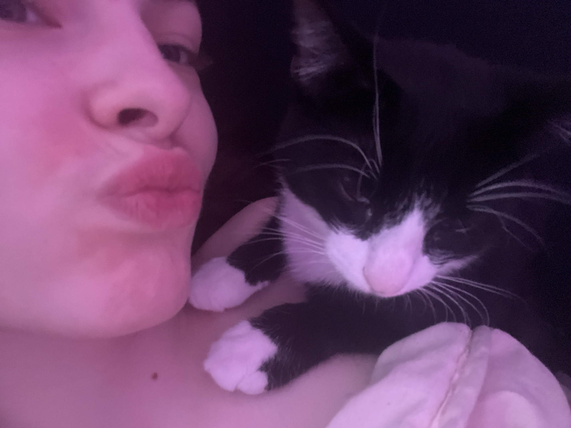 The image captures a close-up, intimate moment between a person and a small black-and-white cat. The person's face, visible from the nose down on the left side of the frame, shows lips pursed in a kissing or pouting expression, directed towards the cat. Their skin appears fair with a noticeable pinkish blush on the cheek and nose, likely accentuated by the lighting. A small, dark mole is visible on their neck/collarbone area.
Cradled against the person's body on the right is a small tuxedo cat, featuring prominent white markings on its face, paws, and chest against its black fur. Its long, white whiskers stand out clearly. The cat's head is slightly bowed, and its gaze is directed downwards or away, creating a gentle posture.
The scene is set indoors, against a dark, indistinct background, suggesting low light conditions. The entire image is bathed in a soft, warm pink or purple artificial light, which creates an intimate and cozy atmosphere. A section of white fabric, possibly bedding or clothing, is visible in the lower right corner. The activity depicted is a tender interaction between a pet owner and their cat, conveying affection and warmth. No text is visible in the image. While a location context of Saint Petersburg, Russia was provided, there are no visual cues within the image itself to confirm this location.