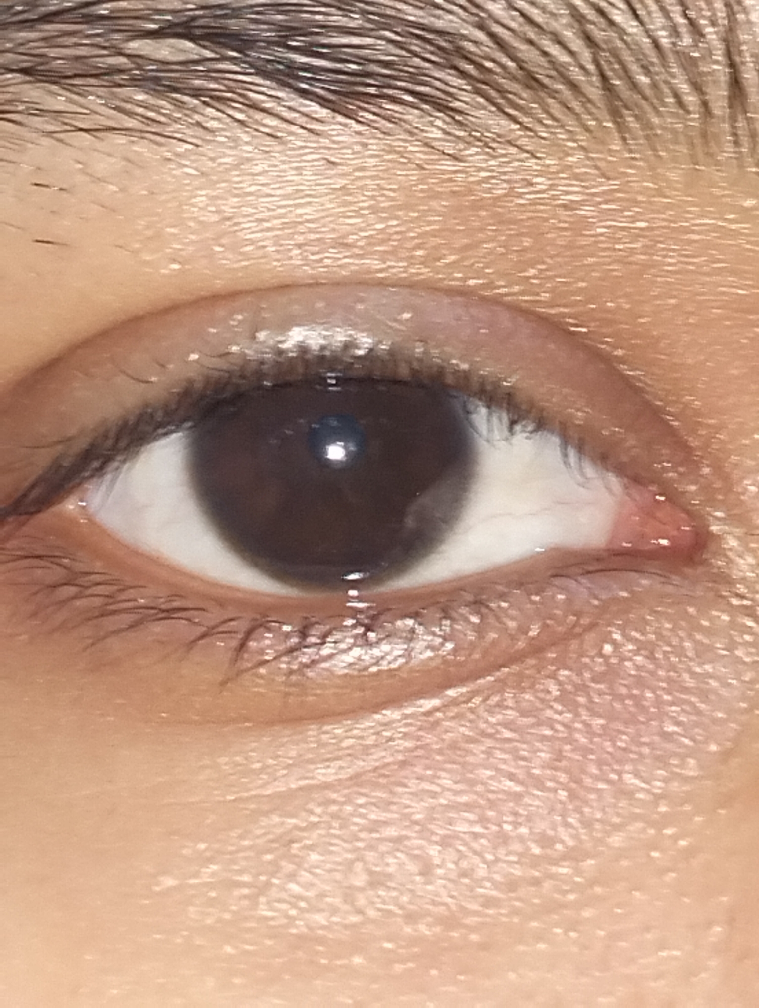 A close-up image shows a brown eye. The eyebrow, with individual hairs visible, is positioned above the eye. Eyelashes frame the eye on both the upper and lower eyelids. The skin surrounding the eye is fair. There is no visible information to determine the location of the eye as Dhaka, Bangladesh.