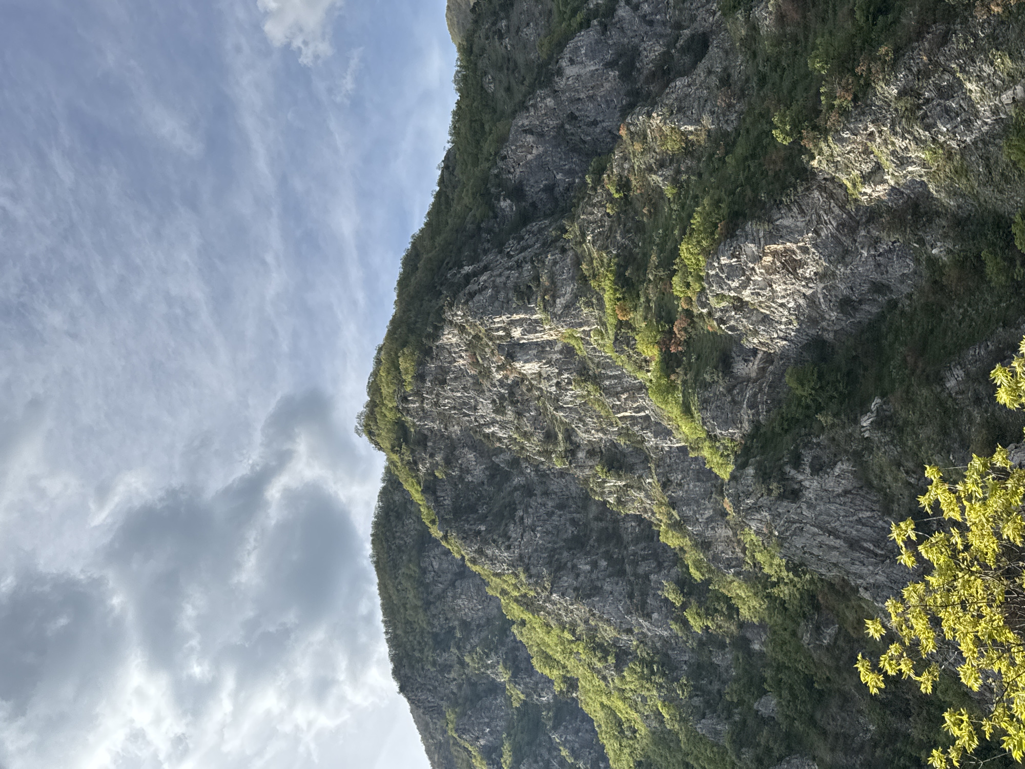 The image shows a steep, rocky cliff face covered in vegetation. The rock is grey and layered, with patches of green moss and small shrubs growing on its surface. To the left of the cliff, the sky is visible with wispy clouds and patches of blue. In the lower right corner of the image, there is a tree with yellow-green leaves.
The location is Mihalkovo, Bulgaria, a region characterized by mountainous terrain and limestone formations conducive to the growth of vegetation. The image likely captures the landscape surrounding the village. There are no people depicted in the scene.