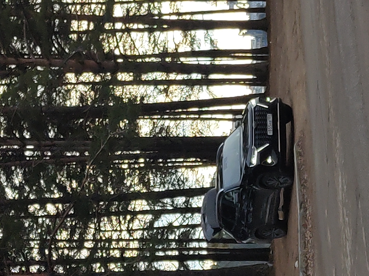 The image, rotated 90 degrees clockwise from its natural orientation, depicts a dark-colored SUV parked on the side of a dirt road, adjacent to a dense forest. When correctly viewed, the vehicle is on the right side of the frame, facing left.
The subject is a modern, possibly black or dark grey, SUV with its distinctive LED daytime running lights or headlights illuminated. A Russian license plate is clearly visible on the front bumper, displaying the characters "785 S _ _ 159". The "159" regional code identifies its origin as Perm Krai, Russia.
The setting is a natural, wooded environment. To the left of the road, a thick stand of tall, slender trees, likely conifers, forms a dense backdrop. Bright sunlight streams through the tree branches and foliage, creating intense backlighting, strong contrasts, and bright spots of light against the silhouetted trees. The road itself is unpaved, appearing as a light brown or beige dirt track.
The activity shown is a stationary car parked by the roadside; no people are visible. The time of day is sunny, likely morning or late afternoon, given the bright, somewhat low-angle light. The location cues, particularly the license plate, confirm the Russian context, aligning with Chaikovsky in Perm Krai. The overall impression is a peaceful, possibly remote, forest scene on a clear, bright day.