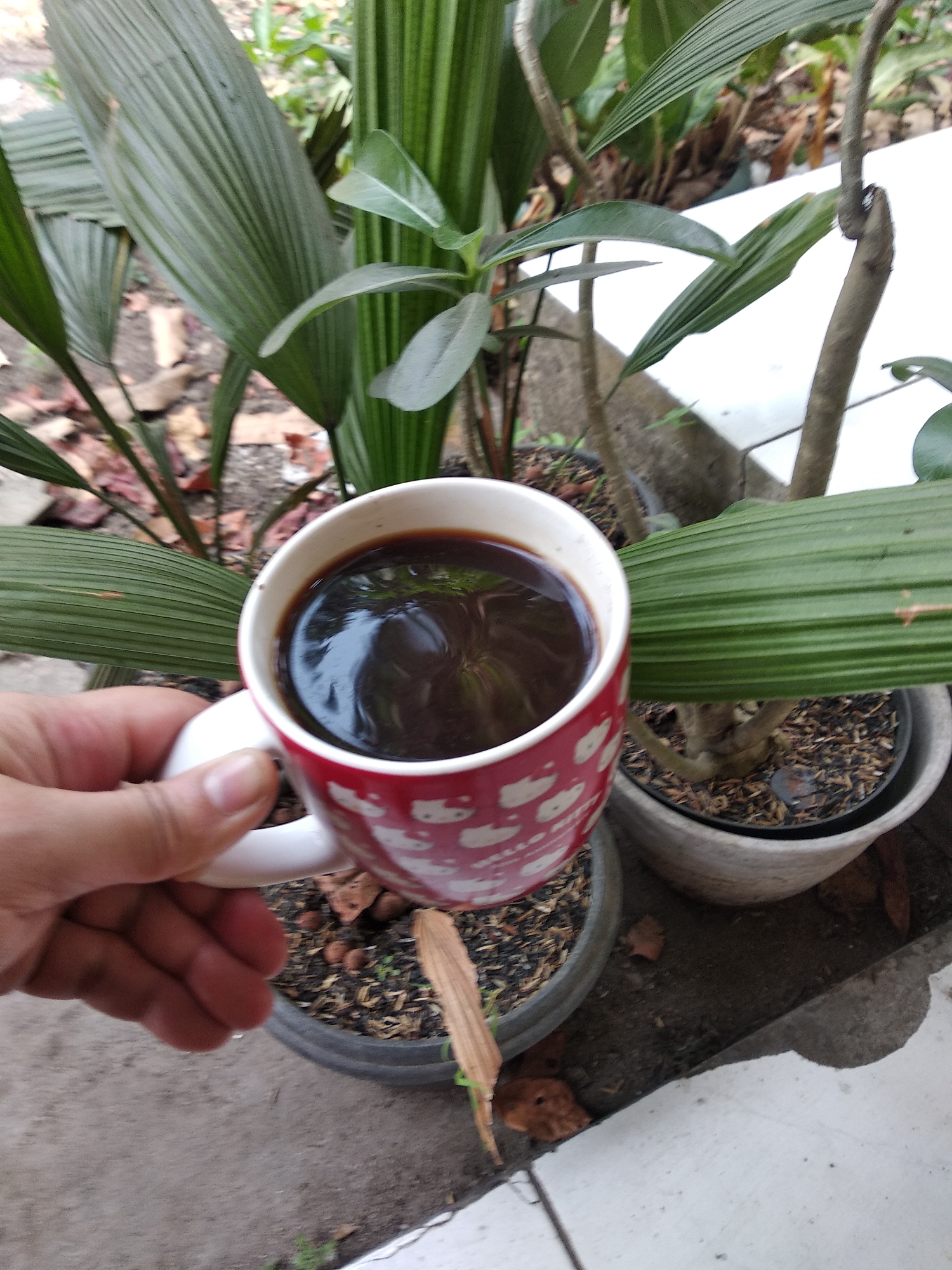 A person's hand is holding a white and red mug filled with dark liquid, possibly coffee, outdoors. The mug has a pattern of white cartoon faces on a red background. In the background, there are several potted plants with large green leaves, and the ground appears to be concrete. The scene suggests a relaxed moment, perhaps on a porch or patio, with the natural setting of the plants contributing to a calm atmosphere. The location is Balaraja, Indonesia.