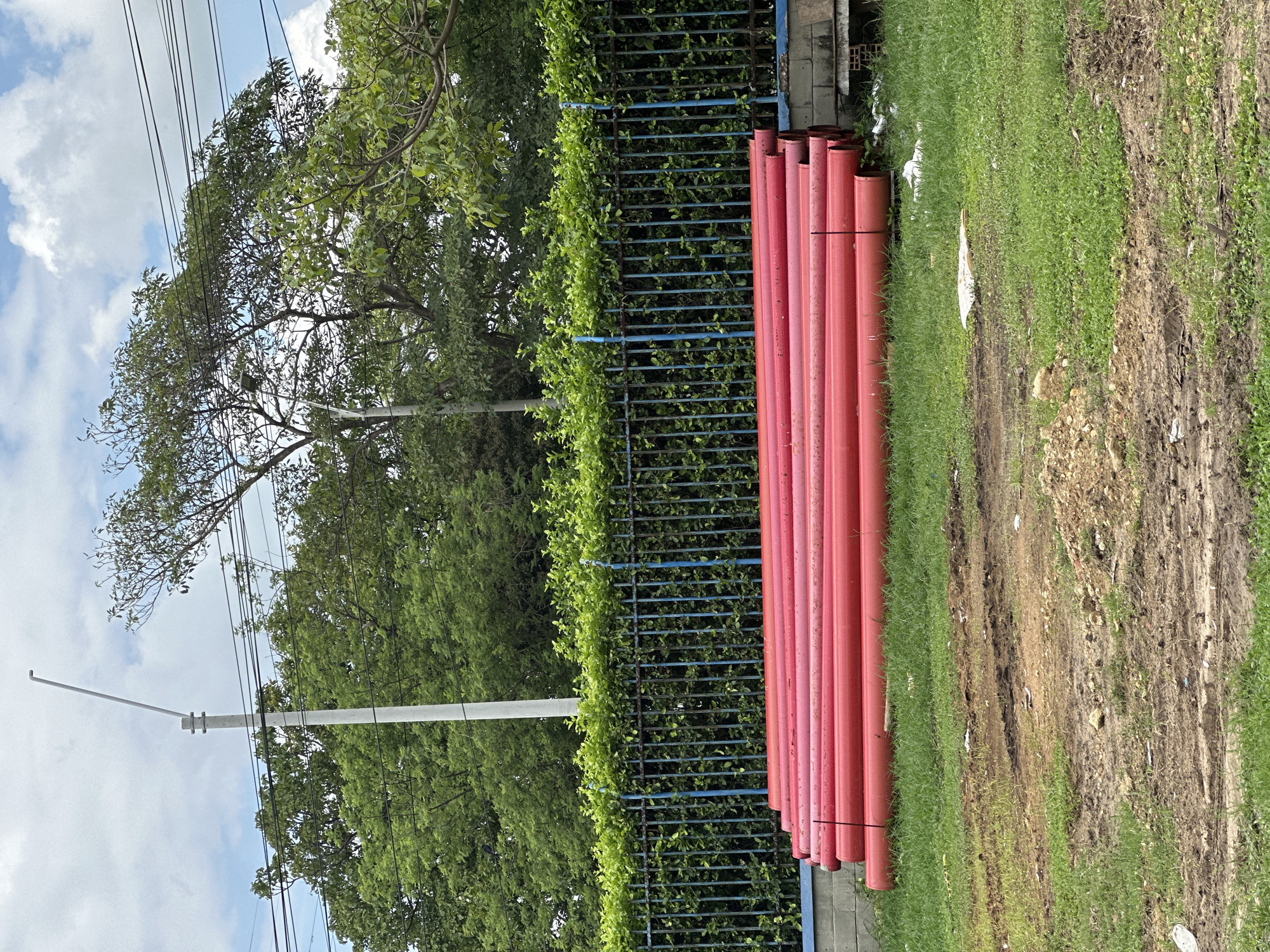 In the city of Juan Mina, Colombia, a stack of bright red cylindrical pipes lies horizontally on the ground in a grassy area. The pipes are arranged in multiple layers, with the uppermost layer positioned slightly forward, creating a staggered effect. Behind the pipes, a black metal fence with blue vertical posts runs across the scene, topped with a thick hedge of lush green foliage. A concrete wall with some visible bricks is situated to the right of the pipes, next to the fence. In the background, a variety of trees with vibrant green leaves form a dense canopy, obscuring the horizon. Power lines are visible crisscrossing the upper portion of the image, and a tall, light-colored utility pole with an angled arm extends upwards into the cloudy sky. The ground in front of the pipes is a mix of green grass and patches of exposed brown soil, with some tire tracks visible in the dirt. The overall environment suggests an outdoor, possibly construction or storage area.
