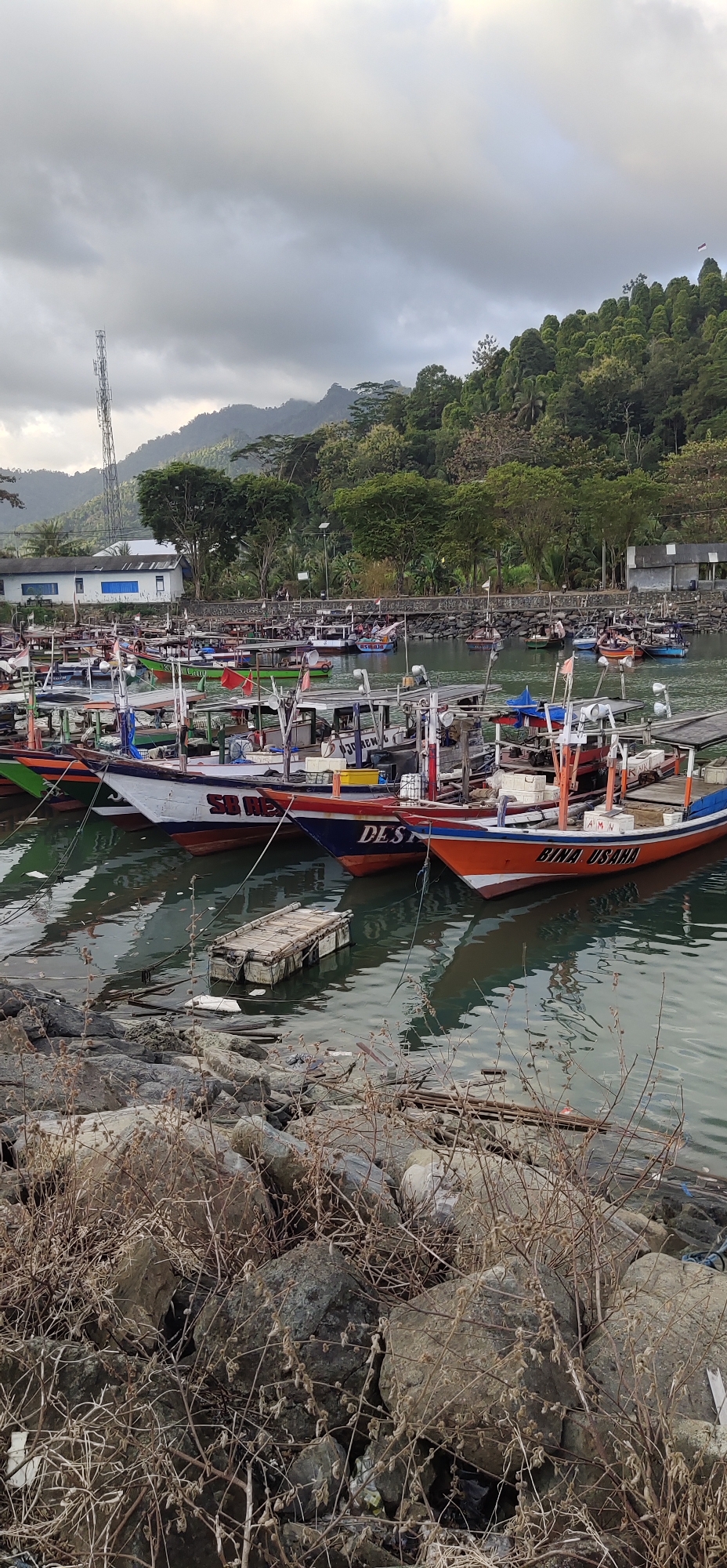 This image depicts a harbor filled with numerous fishing boats docked at the Tasikmadu, Indonesia waterfront. The boats, in various states of repair and decoration, are predominantly painted in vibrant colors of red, white, blue, and orange. Some boats display names and registration numbers, such as "SB MEX" and "DES" and "BINA USAHA". The harbor water is calm, reflecting the overcast sky and the boats. In the background, a lush green hillside is covered with trees, and several buildings are visible along the shore, including a white building with blue trim. A prominent cell tower stands tall on the left side of the image, juxtaposed against the natural landscape. In the foreground, the rocky shoreline is cluttered with dried vegetation, debris, and the hull of a partially submerged raft. The overall scene suggests a working fishing village, possibly preparing for or returning from a fishing expedition under a cloudy sky.