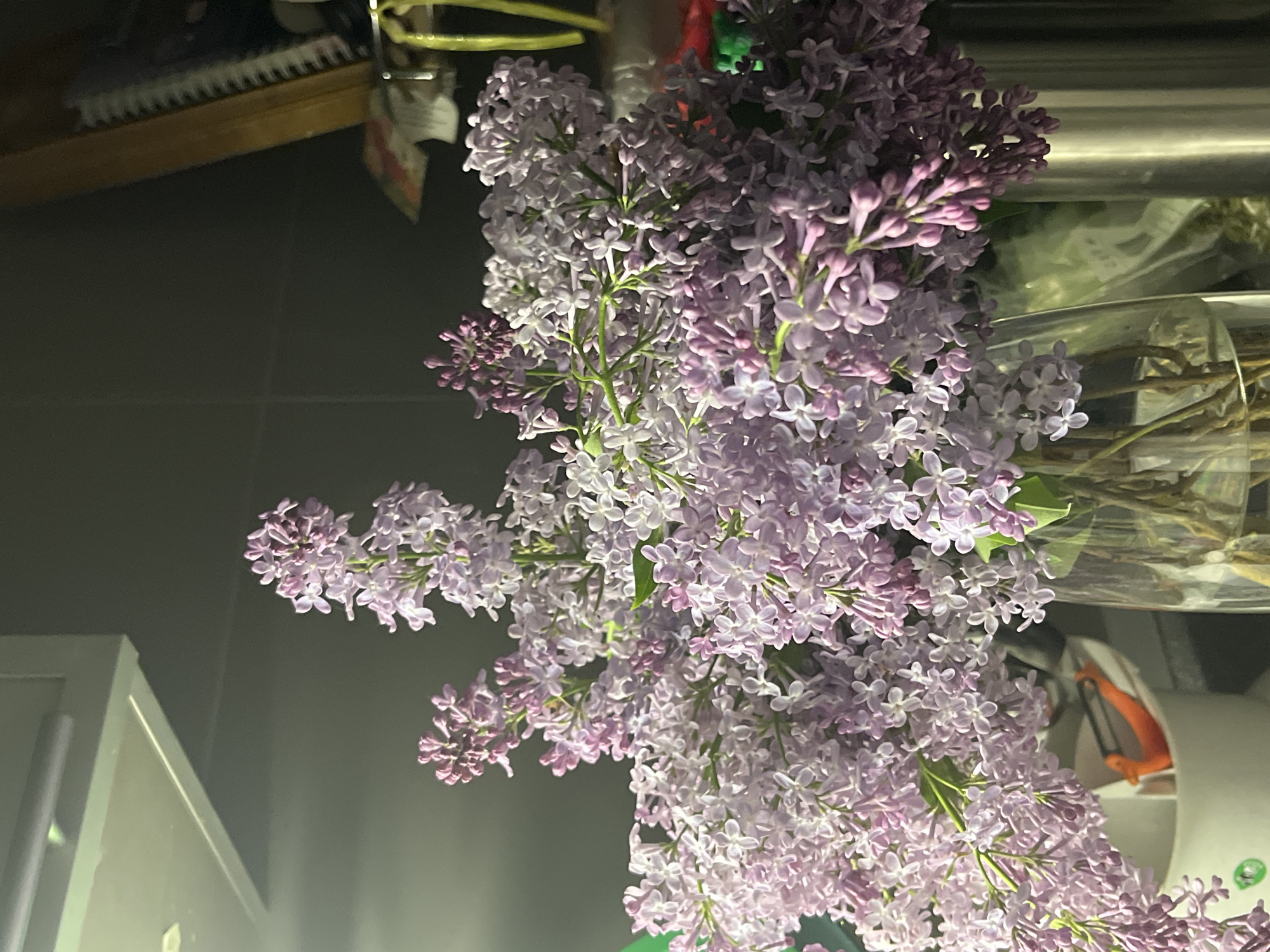 The image shows a bouquet of purple lilacs in a vase. The vase is sitting on a surface near a tiled wall. Other items are visible in the background, including a wooden object with white bristles, likely a brush, and other objects in a clear container. The lighting is dim, creating shadows. The specific location within the city of Chaikovsky, Russia, cannot be determined from the provided image alone.