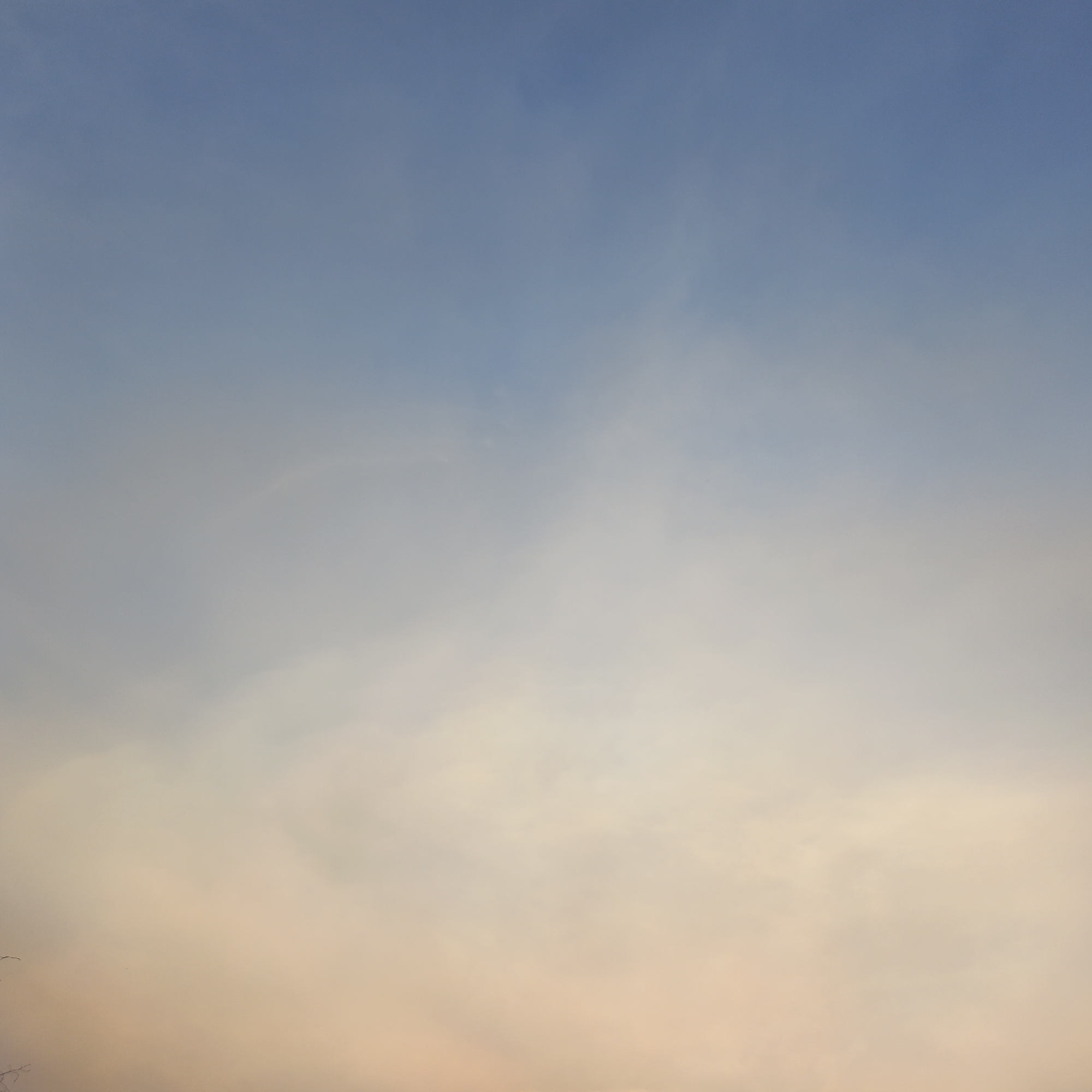 The image shows a sky with scattered clouds. The upper portion of the sky is a clear blue, gradually transitioning to a lighter blue and then to a hazy, almost yellowish-white color towards the bottom. There are wispy clouds present throughout the frame, becoming denser and more opaque at the bottom, giving the impression of a hazy or smoky atmosphere. The lighting suggests it might be dawn or dusk. No people, objects, or actions are discernible. The scene is an open sky, likely taken from ground level looking upwards, with a sliver of dark foliage visible at the very bottom left edge.