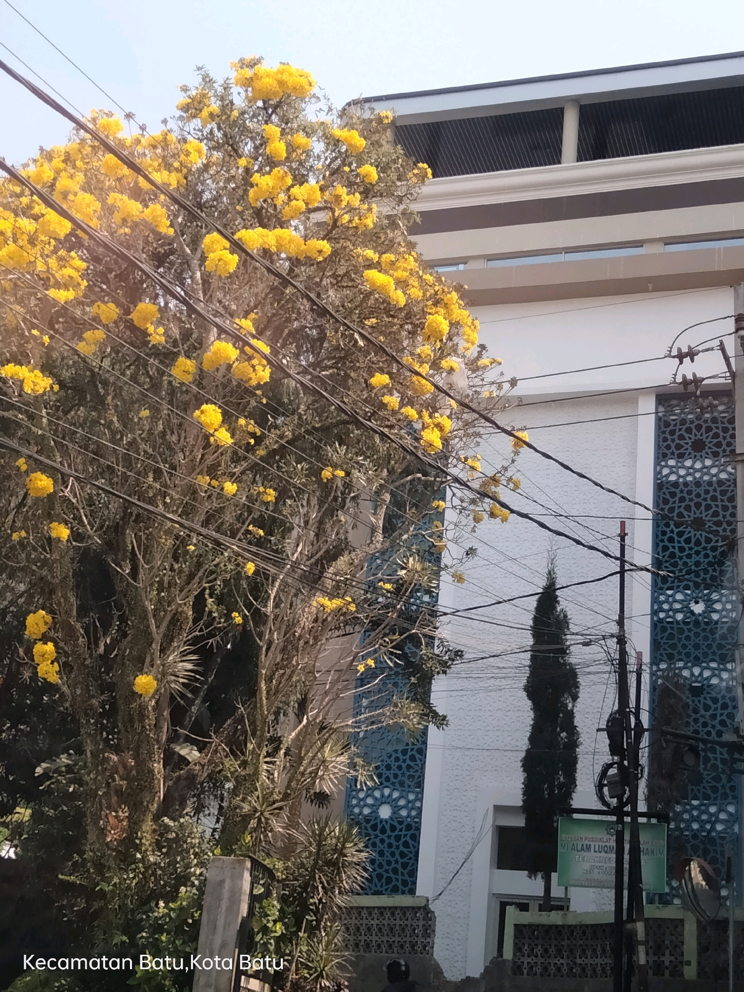 The image depicts a street scene in Kecamatan Batu, Kota Batu, Indonesia. In the foreground, a large tree with bright yellow flowers is heavily laden with blossoms, partially obscuring the view. Numerous power lines crisscross in front of the tree and extend across the frame. Behind the tree, a modern building with white and grey sections and distinctive blue decorative panels on its facade is visible. A tall, slender dark green tree stands to the right of the white building. A green sign with Indonesian text is mounted on a utility pole. The sky is clear and light blue. The overall scene suggests a daytime setting, possibly in an urban or semi-urban area with natural elements integrated into the built environment.