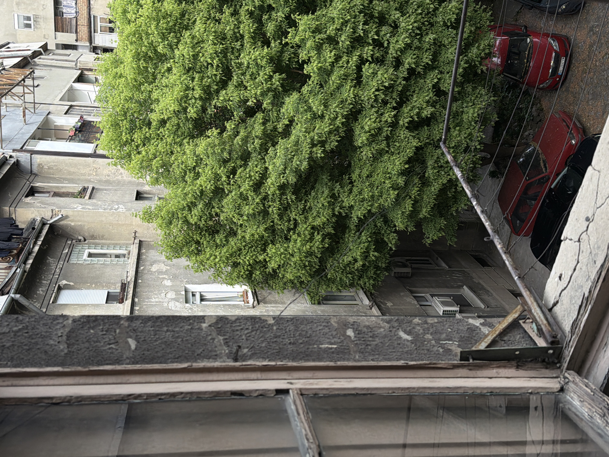 A high-angle, eye-level view from a window shows an apartment complex in Belgrade, Serbia. The architecture is characterized by aged concrete buildings, some with balconies. A large green tree dominates the view, partially obscuring the buildings. Cars are parked on the street visible to the right. A washing line is visible between the buildings. The window frame in the foreground is aged and cracked.