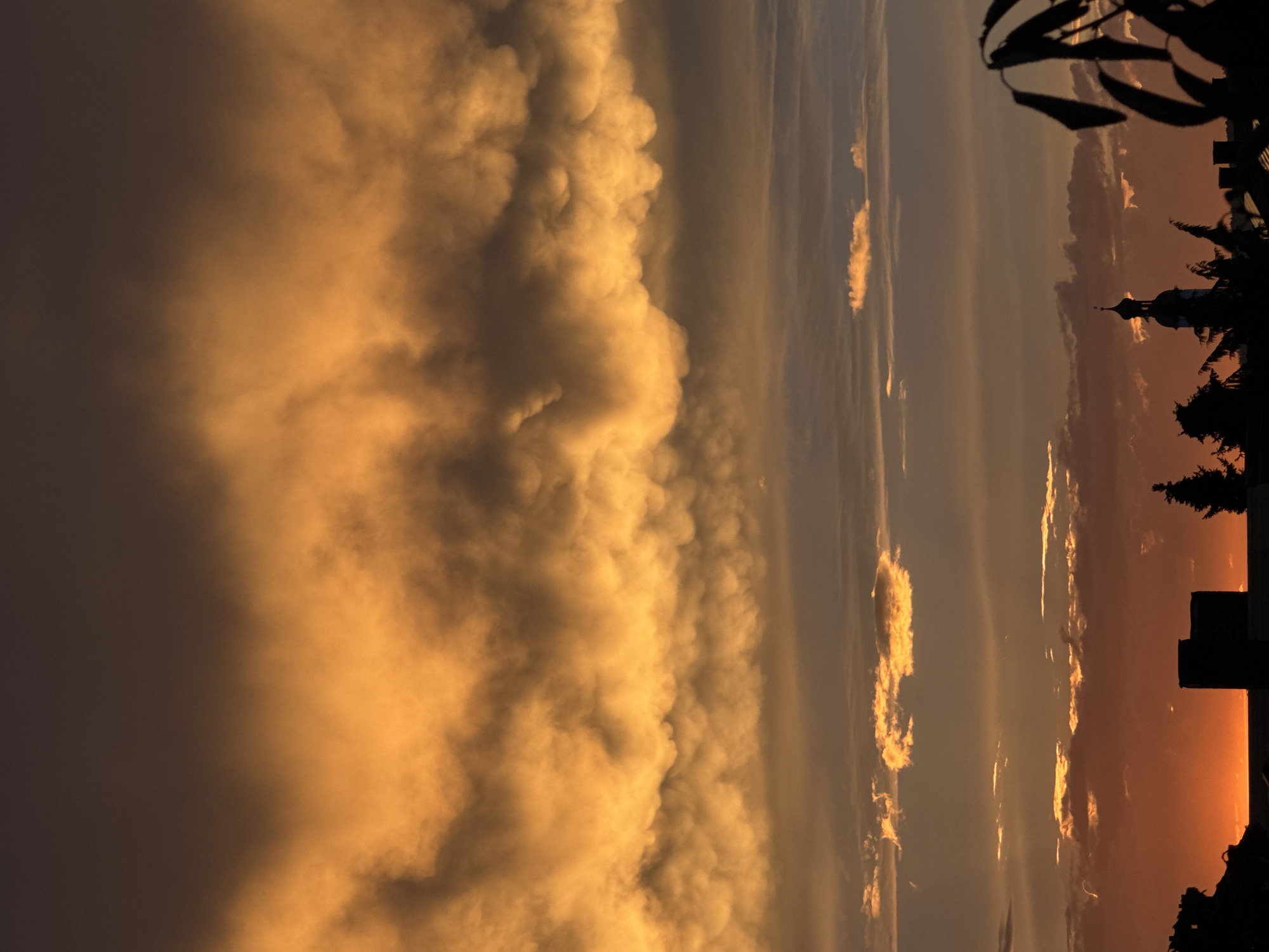 This is a vertical, medium shot of a dramatic sky over Wettstetten, Germany, at sunset. The dominant feature is a thick layer of cumulonimbus clouds, illuminated in vibrant shades of orange and yellow by the setting sun. These clouds exhibit mammatus formations, creating a textured, wavy appearance. Below this, a thinner layer of clouds is visible, tinged with softer orange and gray tones. In the distance, a cityscape is silhouetted against the bright orange horizon, with buildings, trees, and the spire of a church visible. The foreground is dominated by the dark silhouette of foliage on the right side of the frame. The lighting suggests it is late evening.