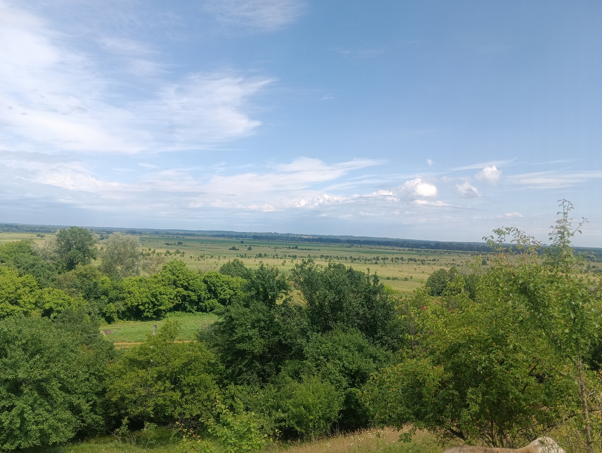 The image depicts a wide, panoramic view of a rural landscape under a partly cloudy sky. In the foreground, lush green trees and foliage dominate the lower portion of the frame, with some dry grass and scattered white wildflowers visible on a sloped embankment. Beyond this, the landscape opens up to a vast expanse of fields, predominantly green and golden, interspersed with patches of trees and darker, forested areas in the distance. The horizon is marked by a hazy line of trees and subtle undulations in the terrain. The sky is a bright blue, with wispy white clouds scattered across it, some appearing more defined and cumulus-like towards the lower right. The overall impression is one of serene, natural beauty in a rural setting.
