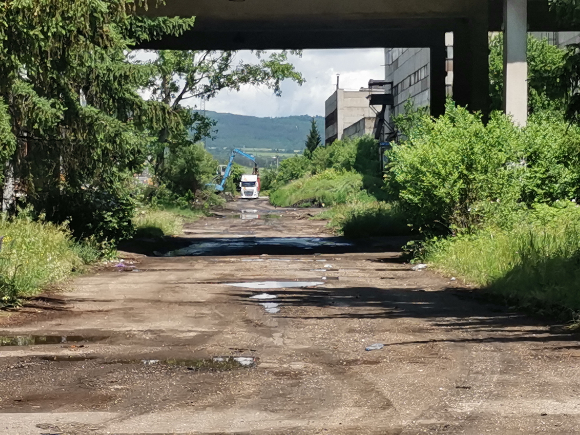 This media file captures an outdoor scene featuring a rough, unpaved road framed by dense vegetation and industrial structures, set in Zhivkovo, Bulgaria. The image is taken from beneath a large, dark concrete beam or overpass, which spans the top of the frame.
In the immediate foreground, the road surface is visibly worn, with cracks, dirt, and several reflective puddles indicating recent moisture. Weeds and grass grow along the roadside. The road extends into the distance, receding under a bright, overcast sky.
The midground is dominated by lush green foliage. To the left, a large evergreen tree with drooping branches partially obscures the view. On the right, thick bushes and parts of a large, multi-story concrete building with numerous windows are visible.
Further down the road, in the background, a white semi-truck or large commercial vehicle is seen from behind, positioned centrally on the path. To its left, a blue excavator or similar heavy machinery has its arm extended upwards, suggesting ongoing work or clearing activity. Beyond these vehicles, the landscape opens up to reveal distant green hills or mountains under a partly cloudy sky. More sections of grey, industrial-style buildings are visible on the right side of the frame, integrated into the overgrown environment.
The scene depicts a blend of natural overgrowth and industrial remnants, possibly indicating a former industrial site that is either abandoned, undergoing demolition, or being redeveloped. The time of day appears to be daytime, with ample natural light. There is no visible text in the image.