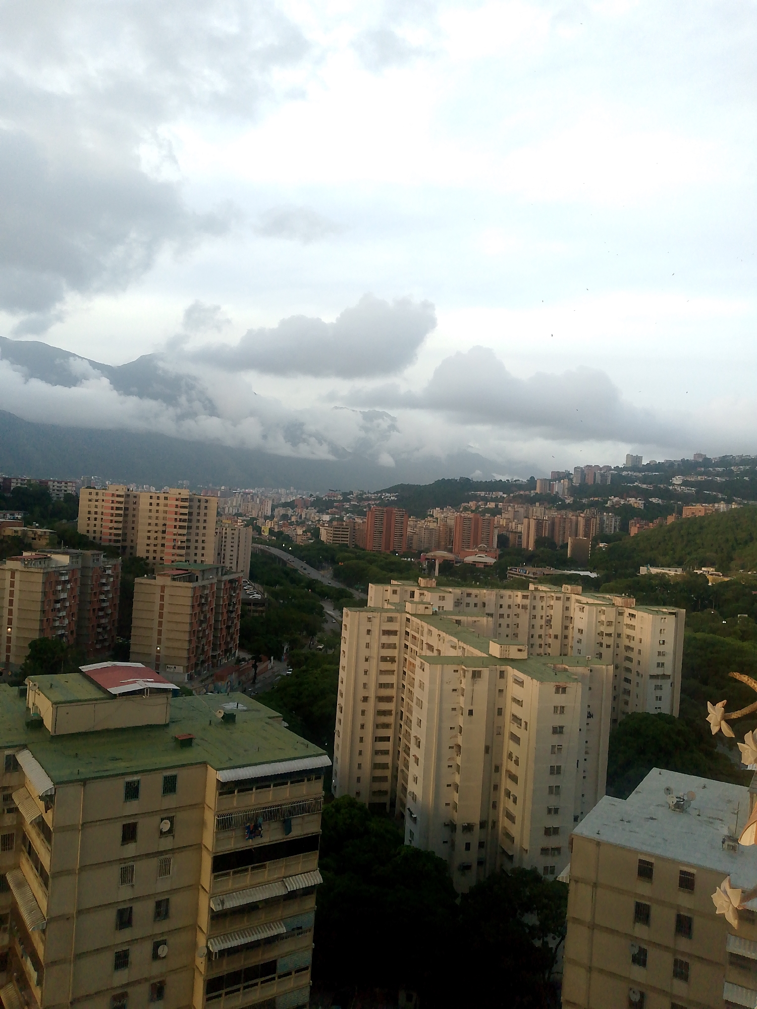 This is an eye-level, outdoor, daytime, full shot of a densely populated urban landscape in Caracas, Venezuela. The image captures numerous residential high-rise buildings of varying heights and architectural styles, clustered together on hillsides and flat terrain. The buildings are predominantly light-colored, with some featuring red or pink accents. Green trees and vegetation are interspersed throughout the urban sprawl, particularly on the hills. In the background, a large mountain range is visible, partially obscured by heavy, gray clouds, suggesting overcast or rainy weather. The sky is a pale gray, indicating low light conditions, and a few small, dark specks, possibly birds or debris, are scattered across it. No people are discernible in the scene. The overall impression is one of a sprawling, high-density city nestled against a mountainous backdrop under a cloudy sky.