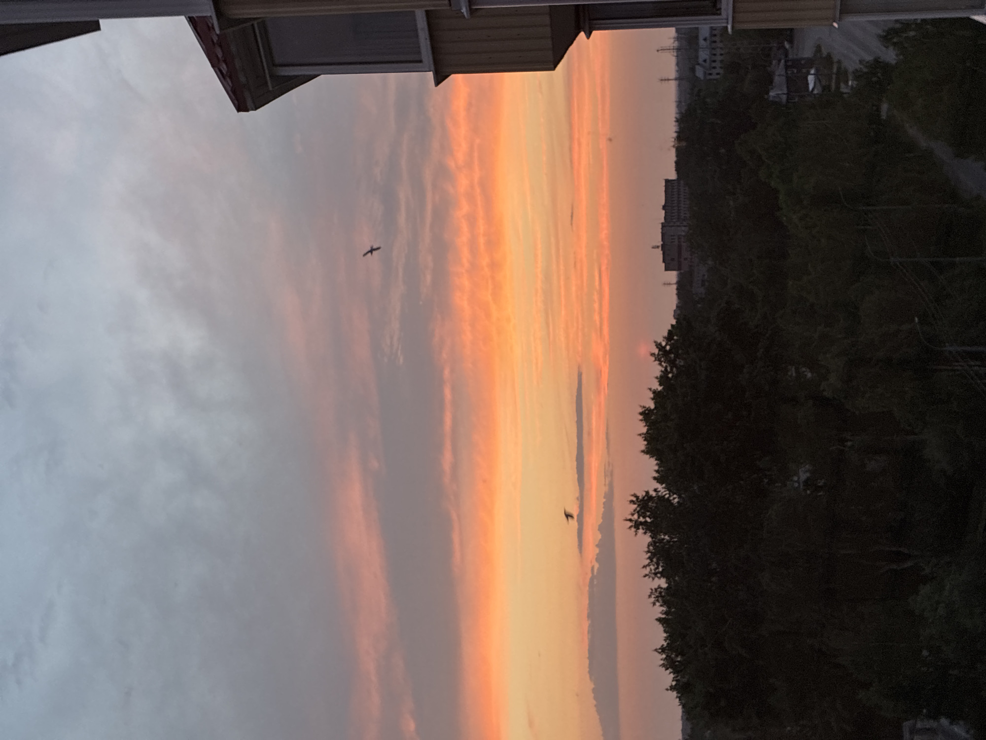 The image depicts a sunset over a semi-urban landscape. The sky is filled with vibrant hues of orange, pink, and gray, with streaks of clouds. Two birds are visible in flight against the sky. In the foreground, a dense line of dark green trees runs across the lower portion of the image. Beyond the trees, the cityscape is visible with several buildings, some appearing to be industrial or apartment complexes. Power lines and streetlights are also present, suggesting a populated area. The right side of the image features a portion of a building, likely a multi-story structure, with a balcony or window visible. The overall scene is one of a twilight atmosphere, with the setting sun casting a warm glow over the environment.