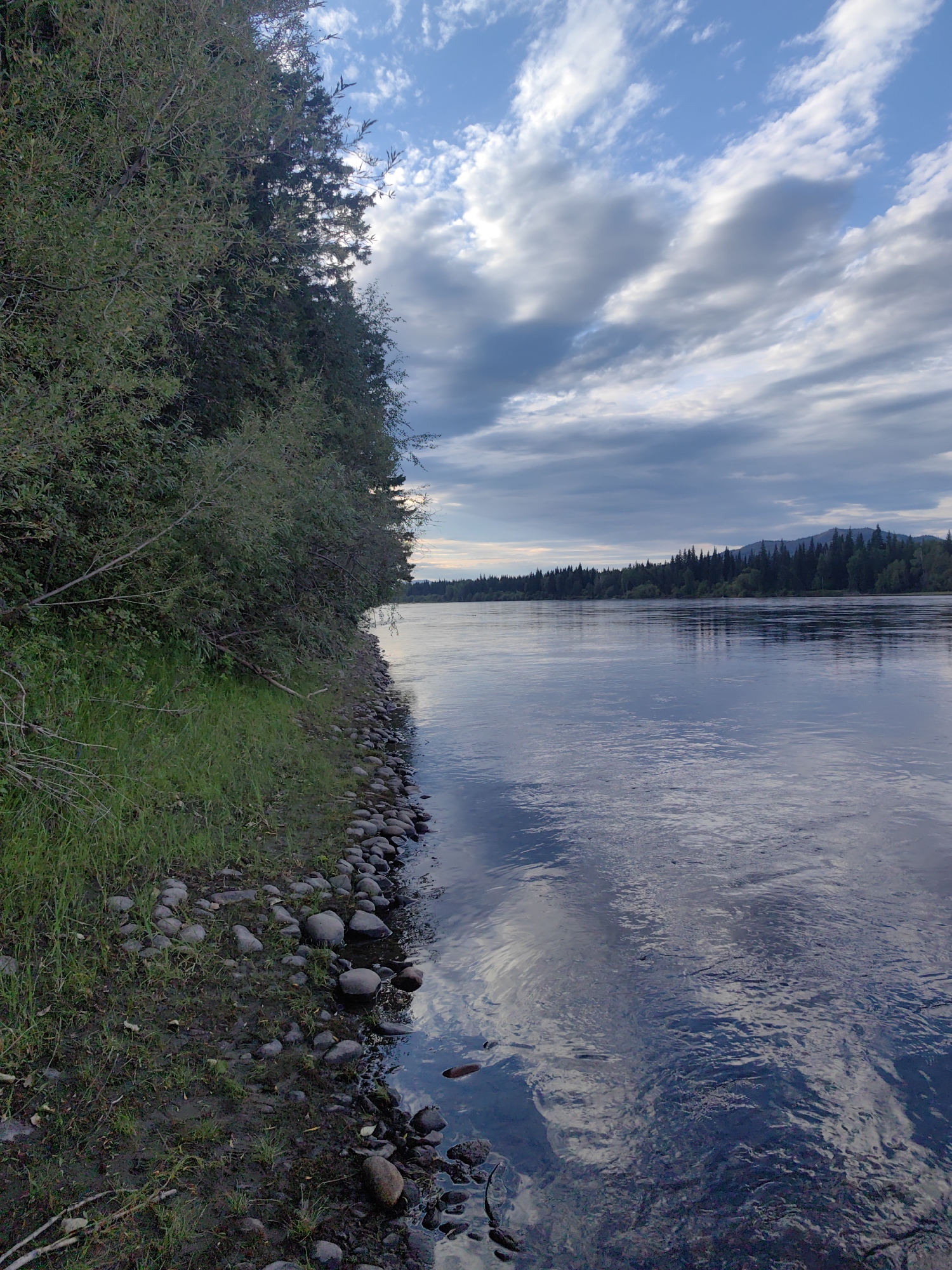 The image depicts a wide, calm river flowing through a natural landscape. On the left bank, dense green foliage, including trees and bushes, grows close to the water's edge, interspersed with patches of grass and small stones. The river's surface reflects the sky and the surrounding trees. In the distance, the river stretches towards a treelined horizon with rolling hills or mountains under a partly cloudy sky. The overall scene suggests a serene, undeveloped natural environment. The location is identified as Усть-Бурен, Russia, indicating a remote, possibly rural or wilderness area within the country. There are no people or man-made structures visible in the image.