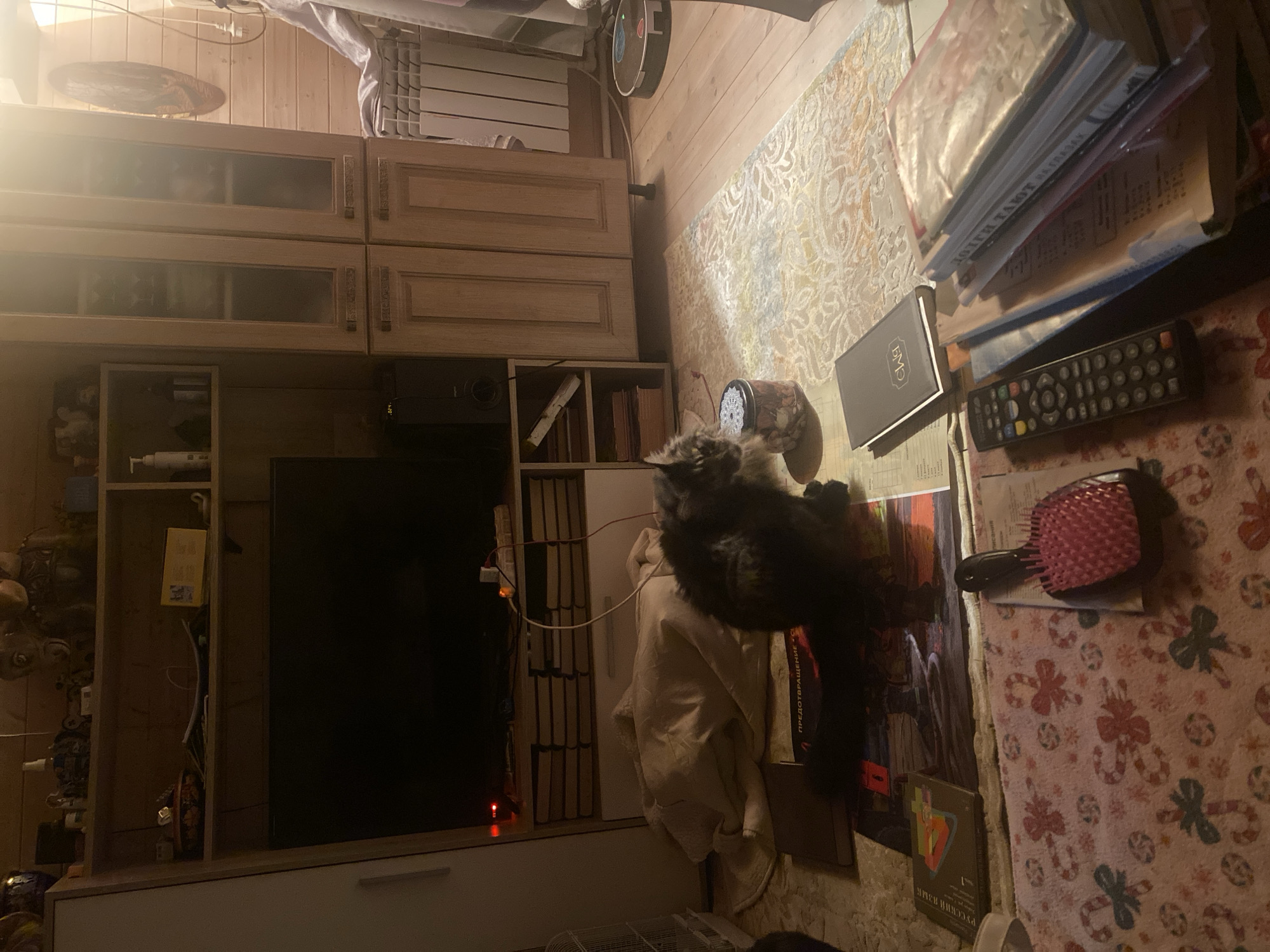 The image shows a cluttered living room, likely in an apartment in Митино, Russia. The room features wooden paneling on the walls and a wooden entertainment center with a television. Various objects are scattered on the floor, including books, magazines, a blanket, and a pink hairbrush. A black and grey cat is sitting on the floor near the entertainment center. A robotic vacuum cleaner is visible on the wooden floor in the background. The lighting suggests it is either daytime or evening, with a bright light source coming from the upper right side of the image.