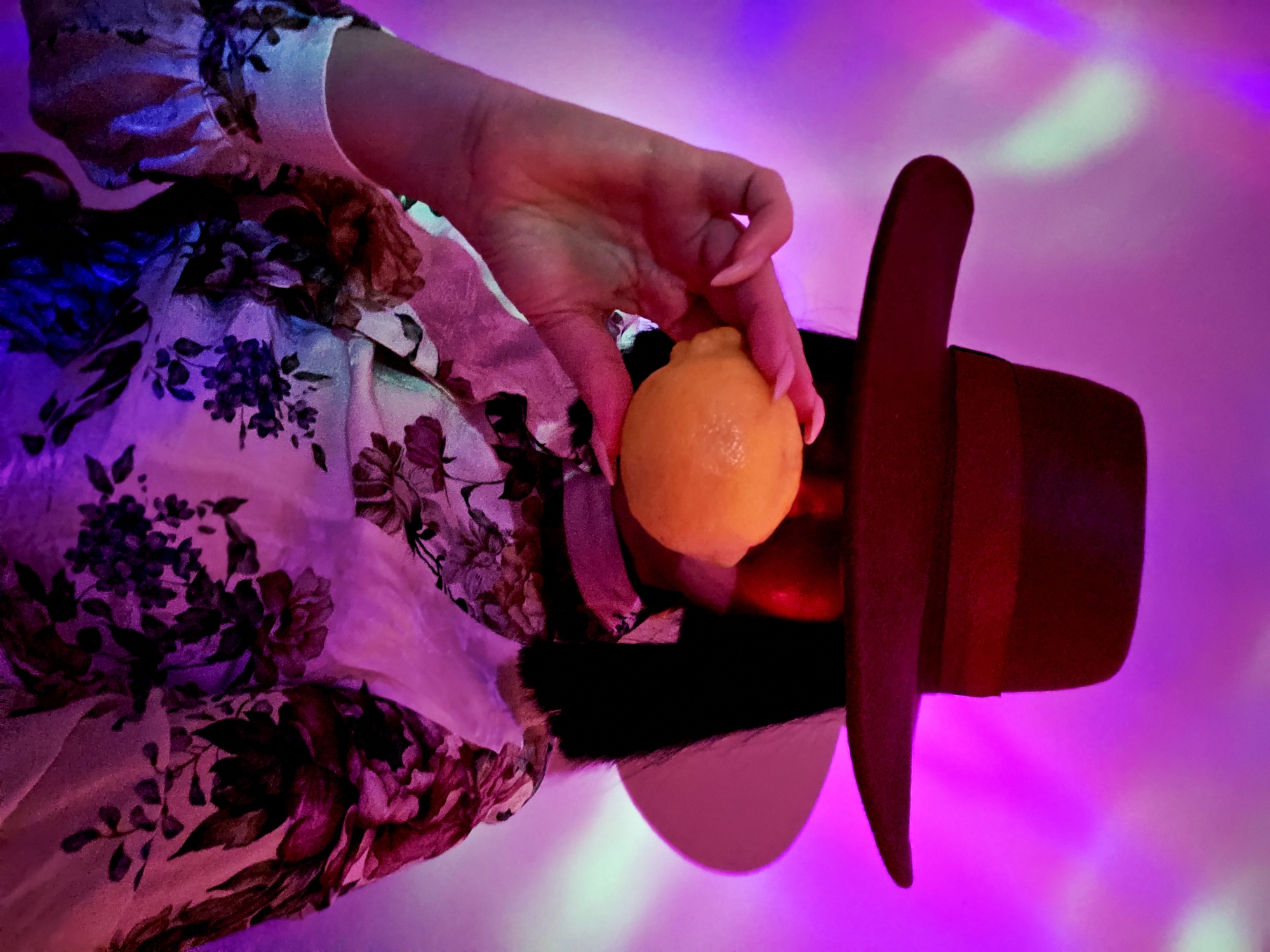 The image displays a close-up of a person's hand holding a lemon, set against a vibrant, artificially lit background. The entire scene appears rotated 90 degrees clockwise.
A person's arm, emerging from the left side of the frame, is covered by a light-colored garment patterned with dark floral designs, featuring purple, black, and maroon flowers and leaves. A left hand, adorned with long, pointed, light-pink manicured nails, prominently grips a bright yellow-orange lemon, which is centrally positioned and has a slightly textured skin.
Below the hand, towards the bottom right of the frame, a dark red or burgundy fedora-style hat with a distinct brim is partially visible. The hat suggests it's either being worn by the person or is placed on a nearby surface.
The background is an intensely colorful gradient of electric magenta, deep purple, and hints of blue, strongly indicative of artificial stage or club lighting. Streaks of lighter, almost greenish-white light are diffused across this luminous backdrop.
The activity captured is simply the act of holding the lemon. No specific emotions are discernible as only the hand and arm are visible. The vibrant, almost neon lighting creates a dynamic and somewhat mysterious atmosphere, suggesting an indoor setting or nighttime event. There is no visible text in the image.