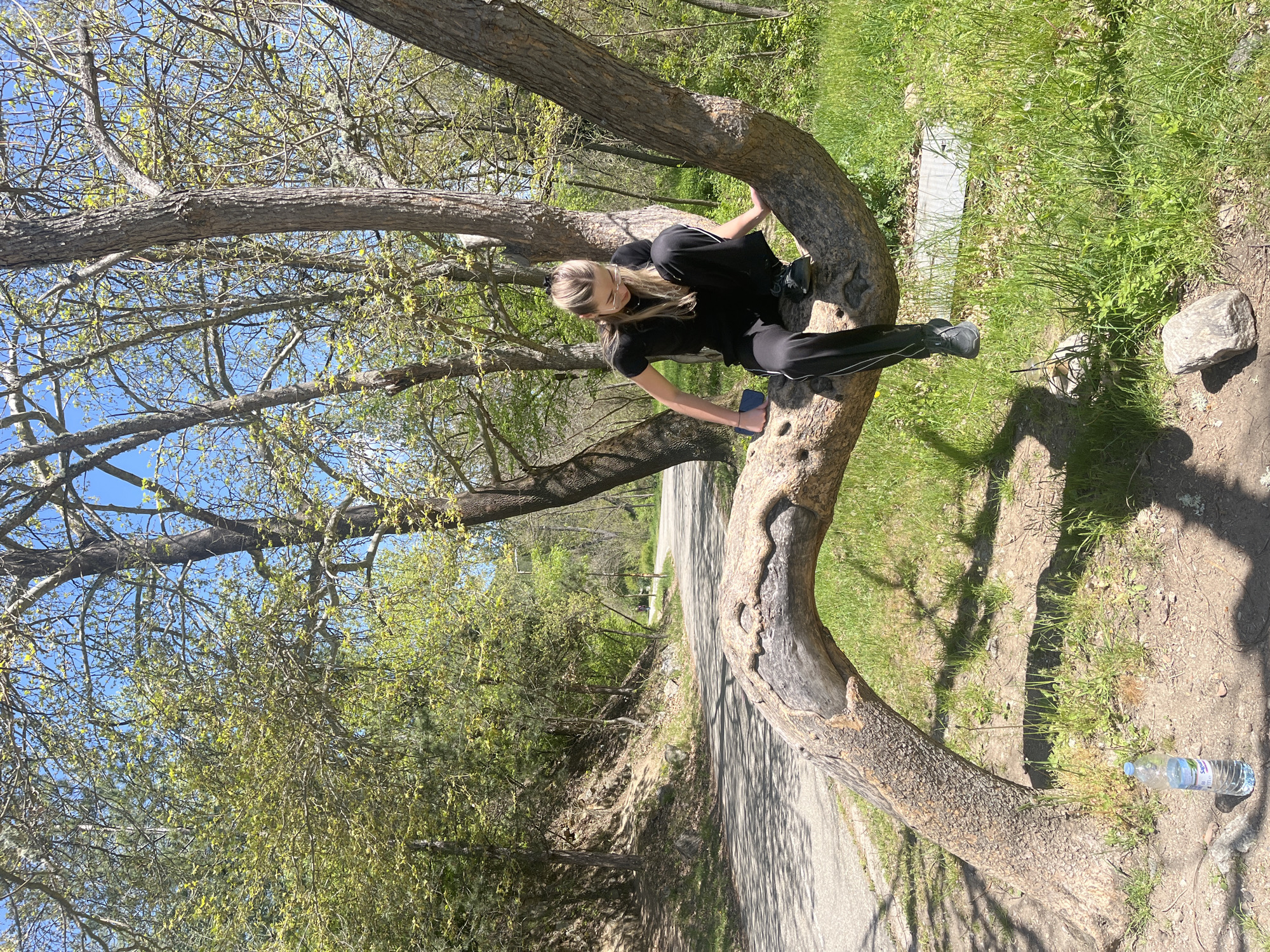A young woman is depicted resting or climbing on a large, gnarled tree branch in a sunlit outdoor environment. She has light-colored hair and is wearing a black t-shirt, black pants with white side stripes, and dark sneakers, along with glasses. Her body is positioned on the thick, horizontally growing branch, with her legs draped over it and her hands providing support. She is holding a blue phone in her left hand, looking down at it.
The scene is set in a natural area, likely a park or a wooded path, characterized by abundant green grass on the ground and numerous trees with both bare branches and burgeoning light green leaves against a clear blue sky. A paved road or path runs behind the tree the woman is on, suggesting a walking or cycling route. Strong shadows cast by the trees indicate bright sunlight, likely during mid-morning or early afternoon. On the ground near the tree's base, a clear plastic water bottle with a blue label, featuring the brand name "Sana," is visible. A small grey rock also lies on the ground. The setting is identified as Blagoevgrad, Bulgaria.