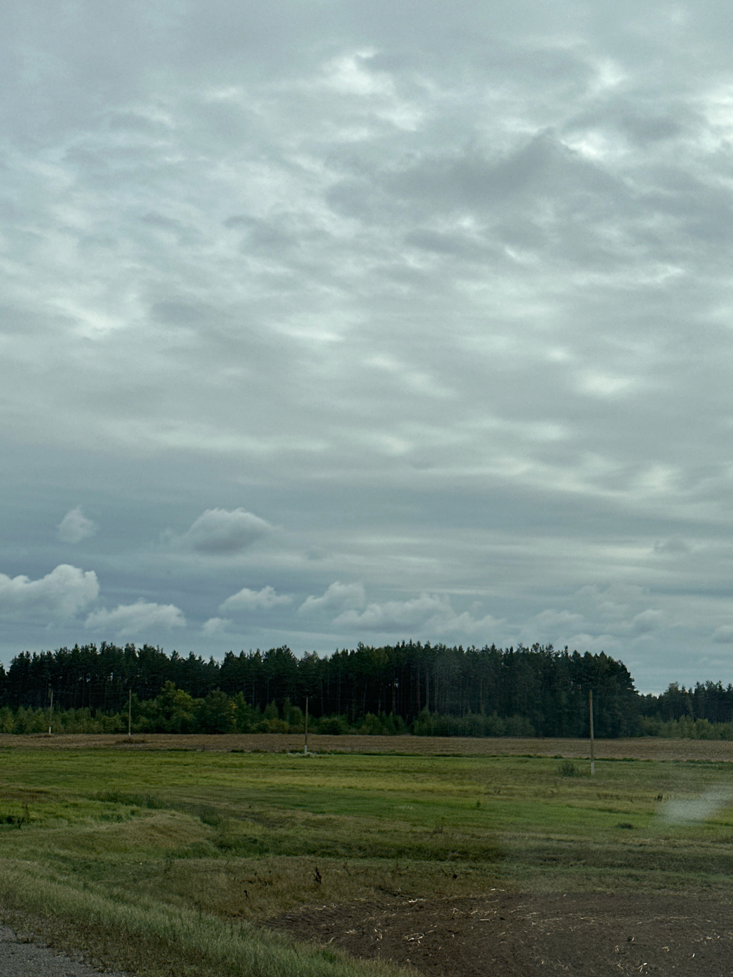 This image depicts a rural landscape under an overcast sky. In the foreground, there is a rough, uneven ground surface, possibly a dirt path or field edge. Beyond this, a large field stretches across the middle ground, showing patches of green grass and areas of tilled or barren earth. A dense line of dark green trees, forming a forest, forms the backdrop across the horizon. The sky is filled with a multitude of grey clouds, suggesting a cloudy or stormy day. Two vertical, thin poles are visible in the field, likely utility poles. The scene appears to be located in a rural area of Краснаўскі сельскі Савет, Belarus. There are no people or animals visible in the image, and no discernible actions or interactions are taking place.