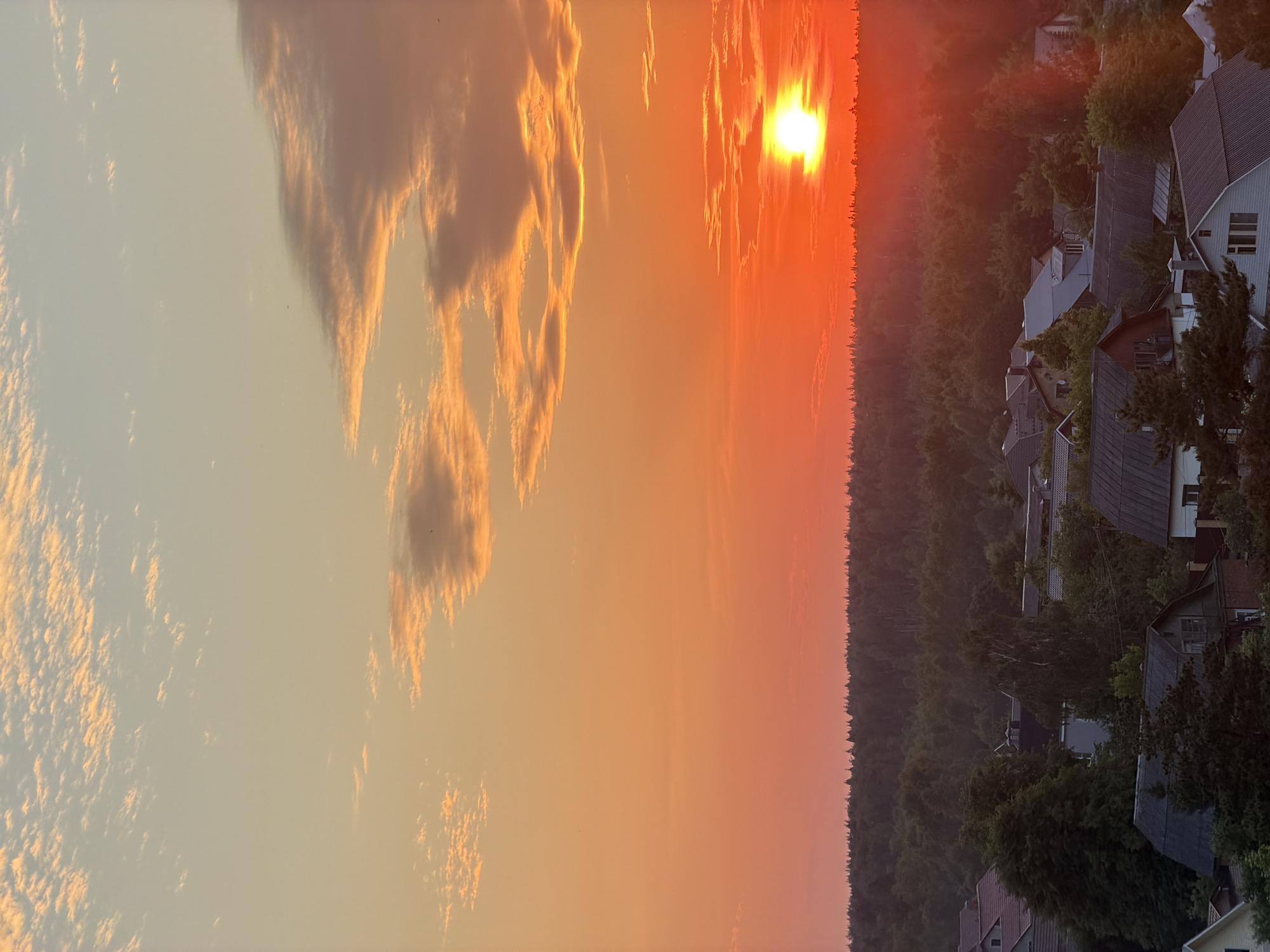 This is a vertical-format, outdoor, medium-shot photograph taken during a sunset. The scene depicts a row of houses nestled amongst a dense forest, with a vibrant sunset filling the sky.
The houses are varied in style and color, with pitched roofs and visible windows. Some are modern, while others appear more traditional. They are situated on a slope, with trees and foliage obscuring some of the structures. The forest itself is a dark, green expanse that stretches across the background, creating a natural contrast to the man-made settlement.
The sky is a dominant element of the image, characterized by a dramatic sunset. The sun, a bright, orb of light, is positioned on the right side of the frame, casting a warm, orange and red glow across the scene. Wispy clouds, illuminated by the setting sun, add texture and depth to the sky, appearing as streaks of light against the deepening hues of orange and yellow. The overall atmosphere is serene and picturesque, with the setting sun imbuing the landscape with a sense of warmth and tranquility. The time of day is clearly evening, as indicated by the sunset. There is no visible text in the image.