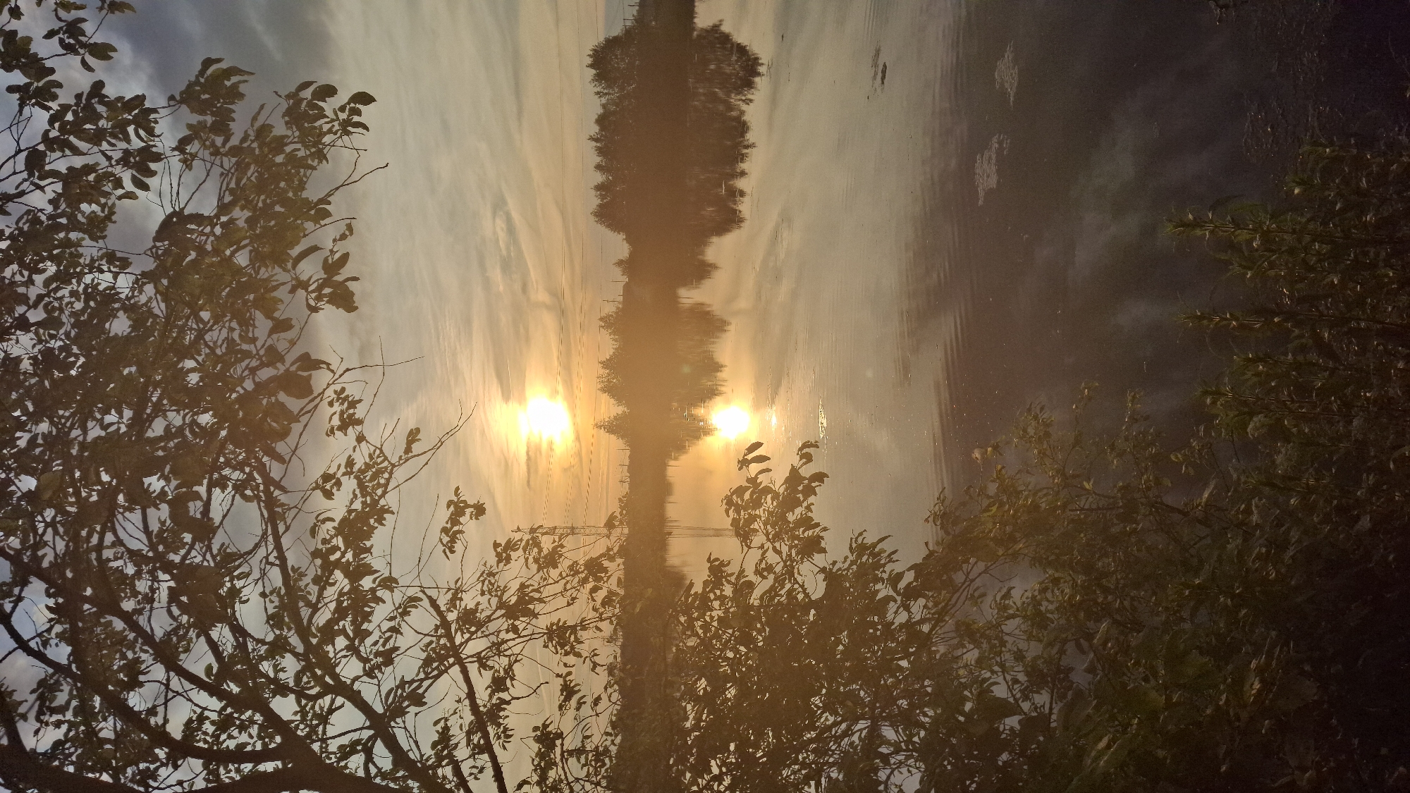 An image captures a serene sunset over a tranquil body of water in Innolovo, Russia. The sky is painted with hues of orange and yellow as the sun dips below the horizon, casting a warm glow on the scene. Wispy clouds drift across the sky, adding texture and depth to the celestial canvas. The sun's reflection shimmers on the water's surface, creating a mirror-like effect that doubles the beauty of the sunset.
In the foreground, a large tree with lush green leaves frames the view, its branches reaching out towards the water. The leaves are silhouetted against the bright sky, adding a touch of natural artistry to the composition. The water itself is calm and still, with only gentle ripples disturbing its surface.
In the background, a line of trees stands tall, their silhouettes creating a dark contrast against the vibrant sky. The trees are reflected in the water, adding a sense of symmetry and harmony to the scene. A few structures, possibly buildings or power lines, are faintly visible in the distance, suggesting the presence of human civilization amidst the natural beauty.
The overall atmosphere of the image is one of peace and tranquility, evoking a sense of calm and wonder. The interplay of light and shadow, the vibrant colors of the sunset, and the reflections on the water create a visually stunning and emotionally resonant scene.