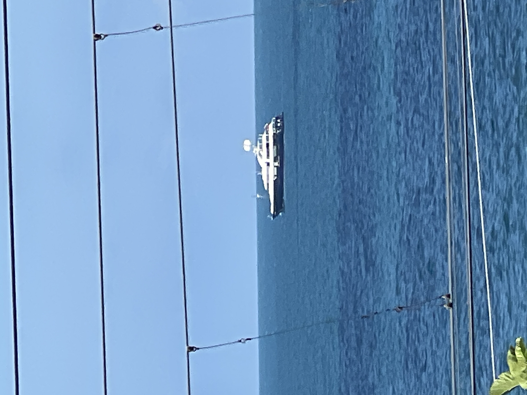 The image captures a distant view of a large white yacht sailing on a calm, deep blue sea under a clear sky. The yacht has multiple decks and appears to be a luxury vessel. The foreground is partially obscured by several horizontal wires or cables running across the frame, suggesting the photo was taken from a distance, possibly from a building or a bridge. In the lower left corner, a hint of green foliage is visible, indicating a terrestrial element. The overall scene evokes a sense of serenity and the vastness of the ocean. The precise location in Sochi, Russia, is not visually identifiable from the image itself, but the context implies this setting.