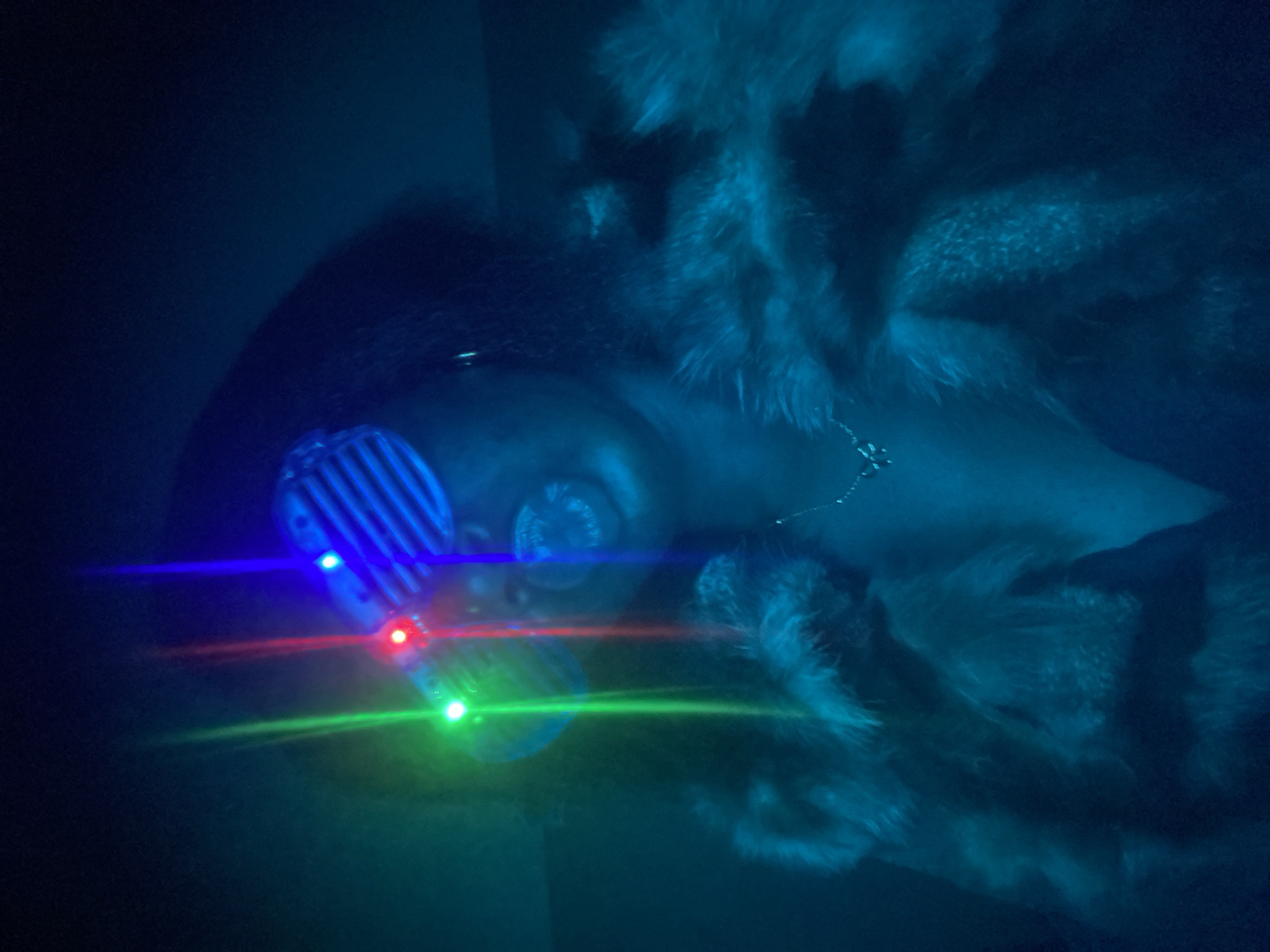 A person's face is illuminated with red, green, and blue laser lights. The person is wearing slitted glasses and a furry shawl or coat. The background is dark and indistinct. It is not possible to determine the location or city based on this image.