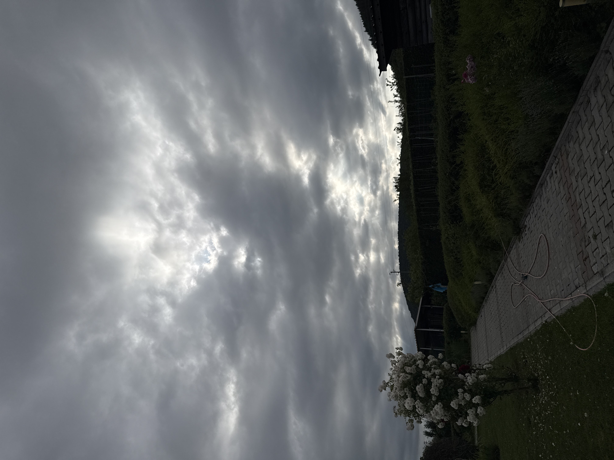 This is a full-shot, eye-level, outdoor photograph taken in Sulitsa, Bulgaria. The scene depicts a garden path leading into a dense green hedge, with a hill in the background. The sky is heavily overcast with dramatic, dark gray clouds, punctuated by patches of bright sunlight filtering through. In the foreground, to the left, is a large bush with abundant white flowers. A red garden hose lies coiled on the paved pathway. To the right, a dark wooden structure with a sloped roof is partially visible. The overall atmosphere is somber and dramatic due to the lighting conditions.