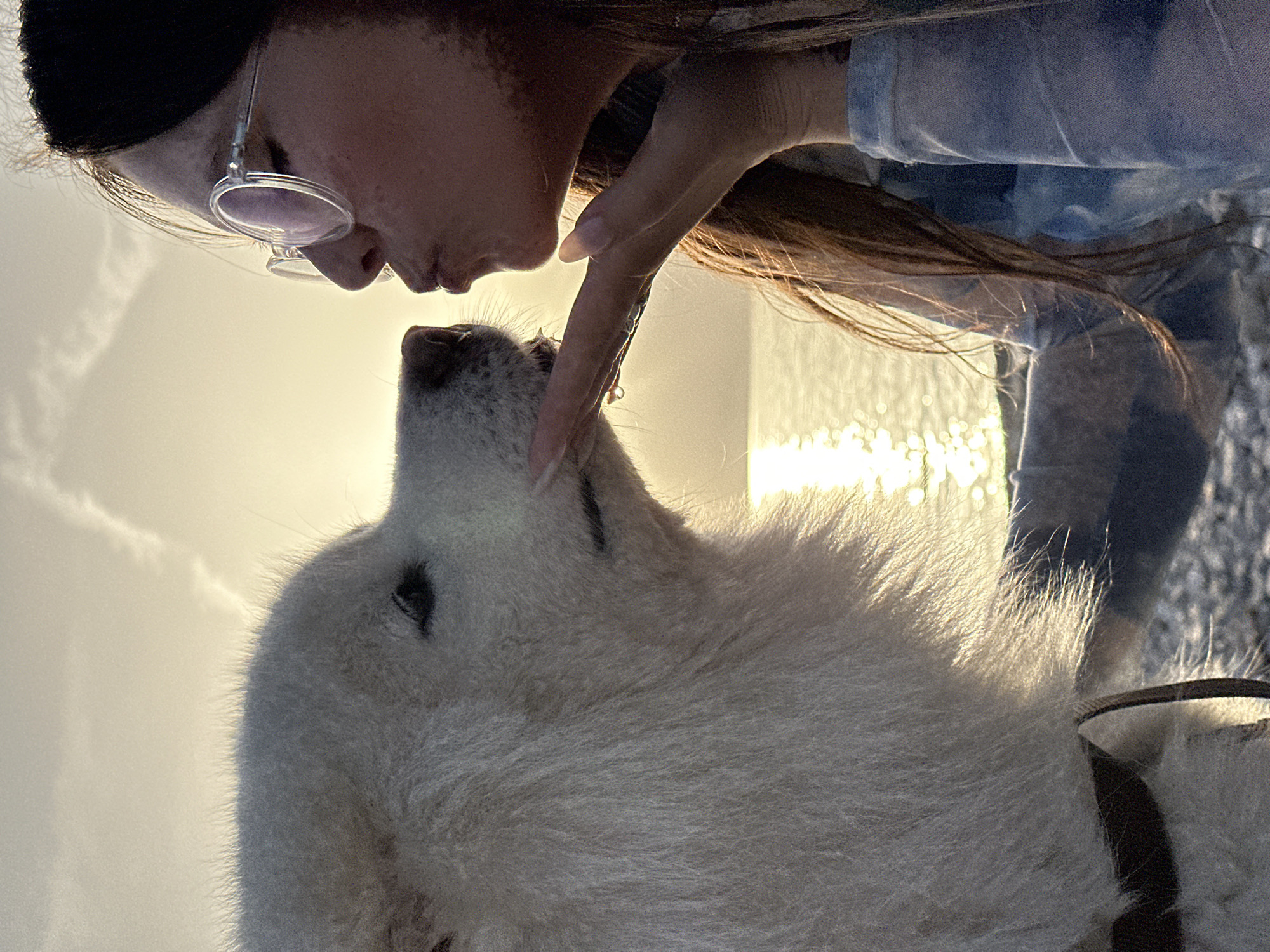 The image shows a woman and a large, white dog in close proximity. The woman is wearing glasses and a dark head covering, and she is touching the dog's face with her hand. The dog is looking up at the woman. The background is brightly lit, suggesting outdoor light. The location cannot be determined from the image.
