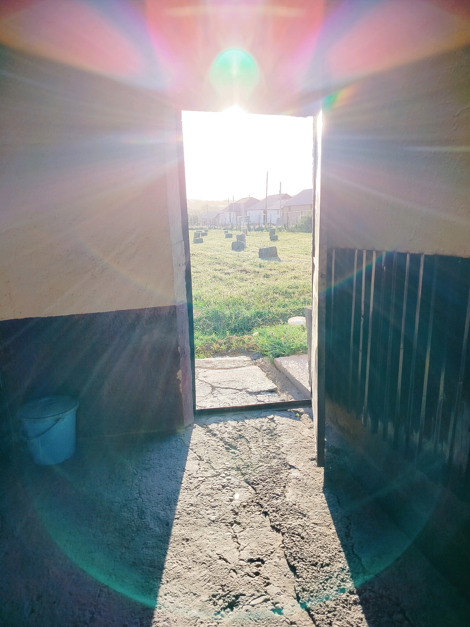 The image depicts an open doorway looking out onto a grassy field with several rectangular hay bales scattered across it. Houses with fences are visible in the background, suggesting a rural or suburban setting within the city of Көлкент, Kazakhstan. The sun is bright, causing lens flare and creating strong shadows. Inside the doorway, the floor is made of rough concrete. To the left, a blue bucket is situated near a wall that is painted in two sections, a lighter color on top and a darker color below. The right side of the doorway features a dark, corrugated metal surface. The overall impression is of a bright, sunny day, possibly early morning or late afternoon given the long shadows and the quality of light.