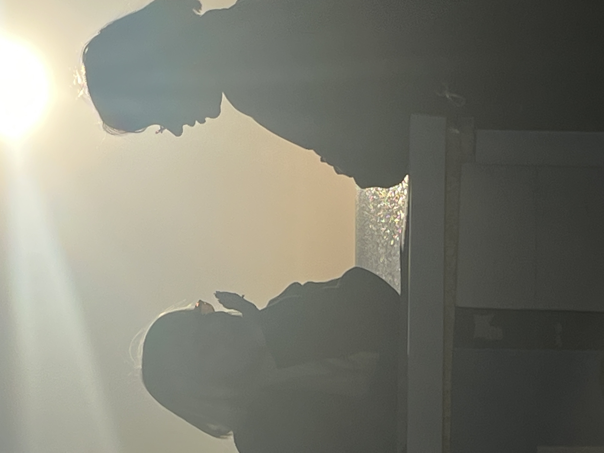 Two individuals are silhouetted against a bright, hazy light. One person is positioned in the upper portion of the frame, looking down towards the other person who is in the lower portion of the frame and looking up. A window is partially visible to the right of the individuals. The location and time are unknown.