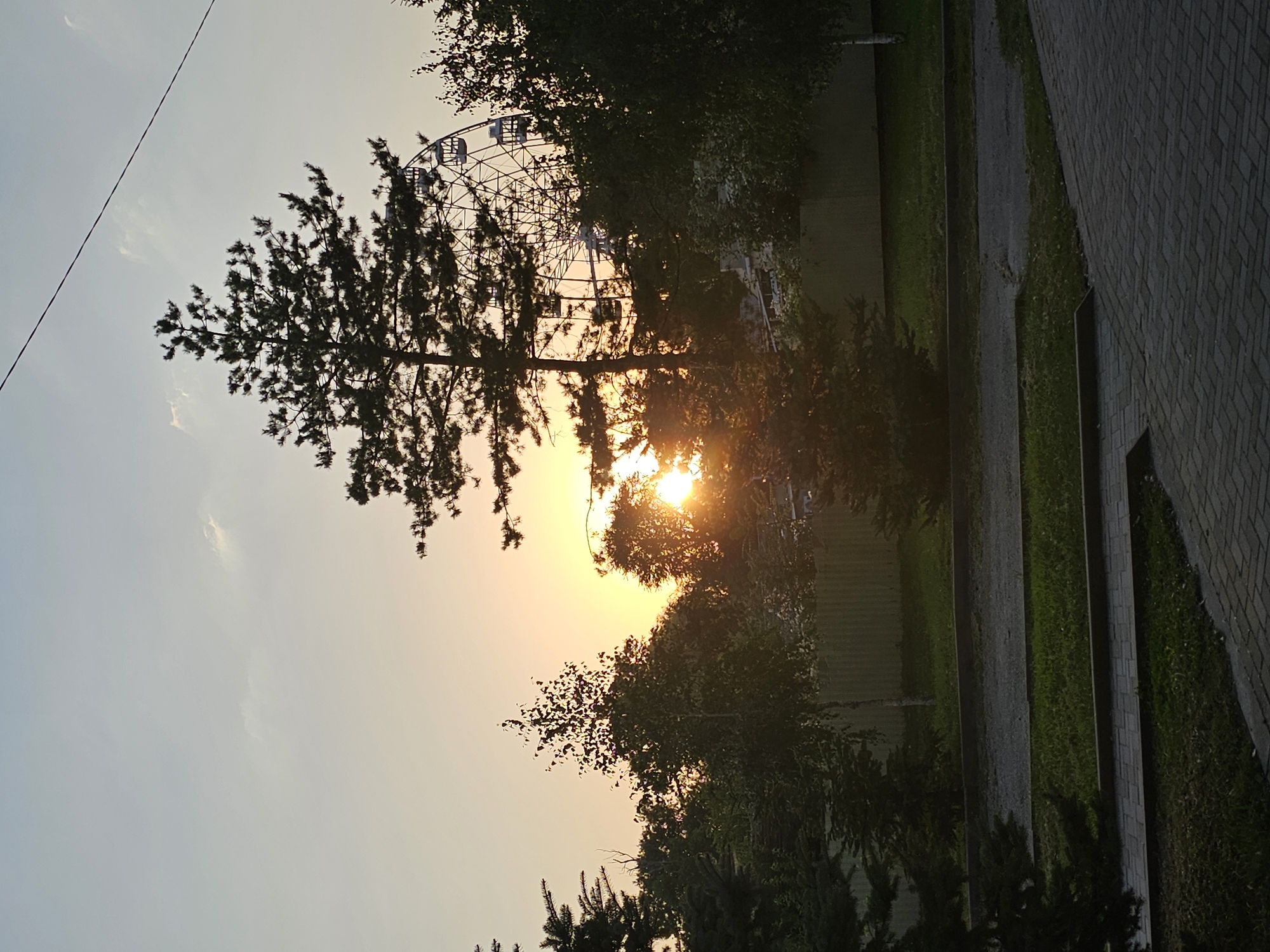 This image depicts a sunset scene in Cherkessk, Russia, likely near an amusement park or fairground, as indicated by the silhouette of a Ferris wheel in the background. The sun is setting, casting a warm orange glow across the sky, partially obscured by trees and clouds. A prominent pine tree stands in the foreground, silhouetted against the sky. Other trees, including a birch tree, are also visible. The ground in the foreground is paved with cobblestones and interspersed with grassy areas. A chain-link fence runs horizontally across the midground, separating the grassy area from a paved walkway or road. The overall atmosphere is serene and captures the transition from day to evening in a public space. There are no people or animals visible in the frame.
