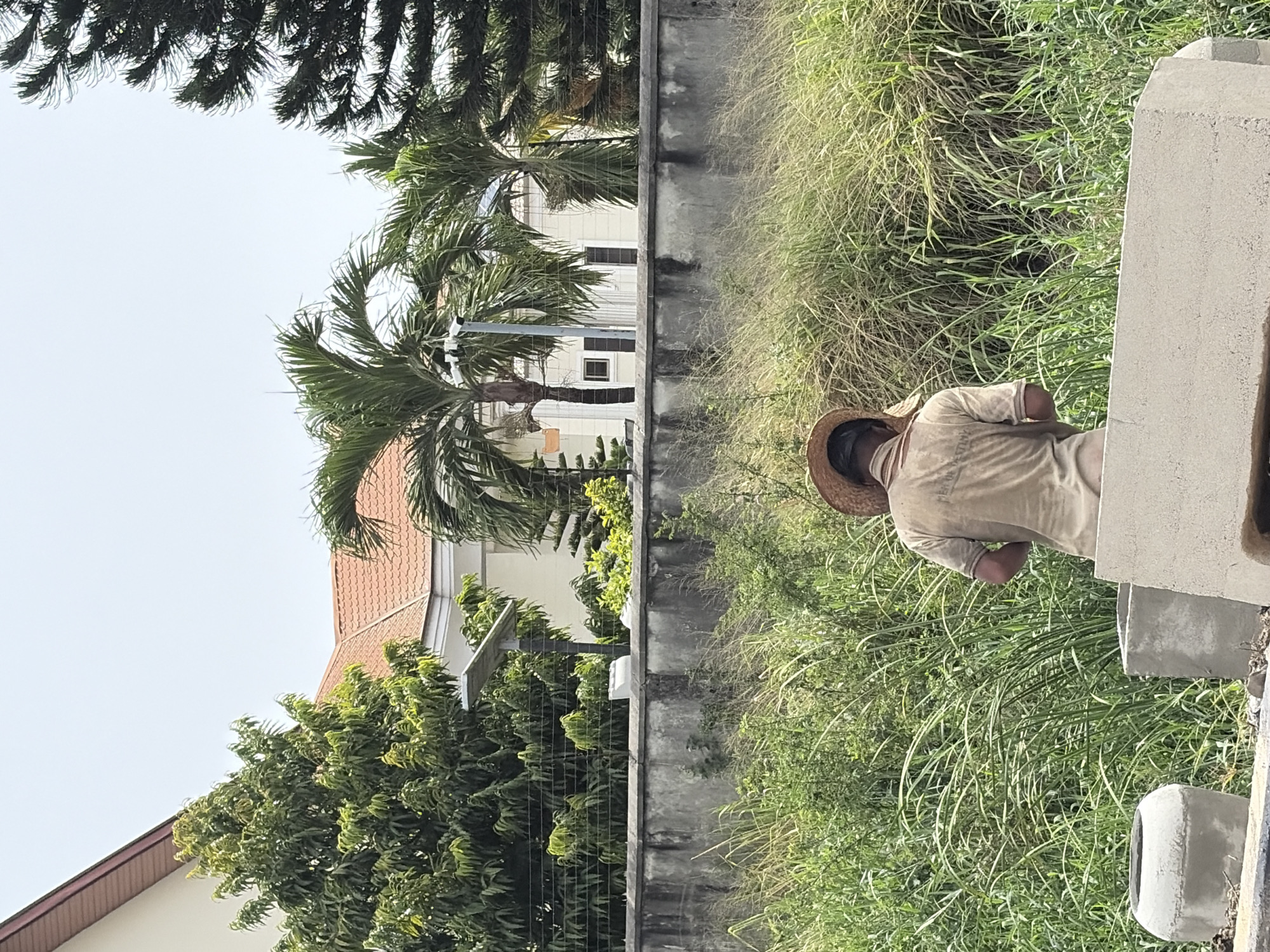 Igboefon, Nigeria: A man wearing a straw hat and a light-colored shirt stands among tall grass next to a gray concrete wall. A residence with a red roof and green trees is visible behind the wall, along with a palm tree. A power pole and lines are visible above the wall. The sky is light blue.