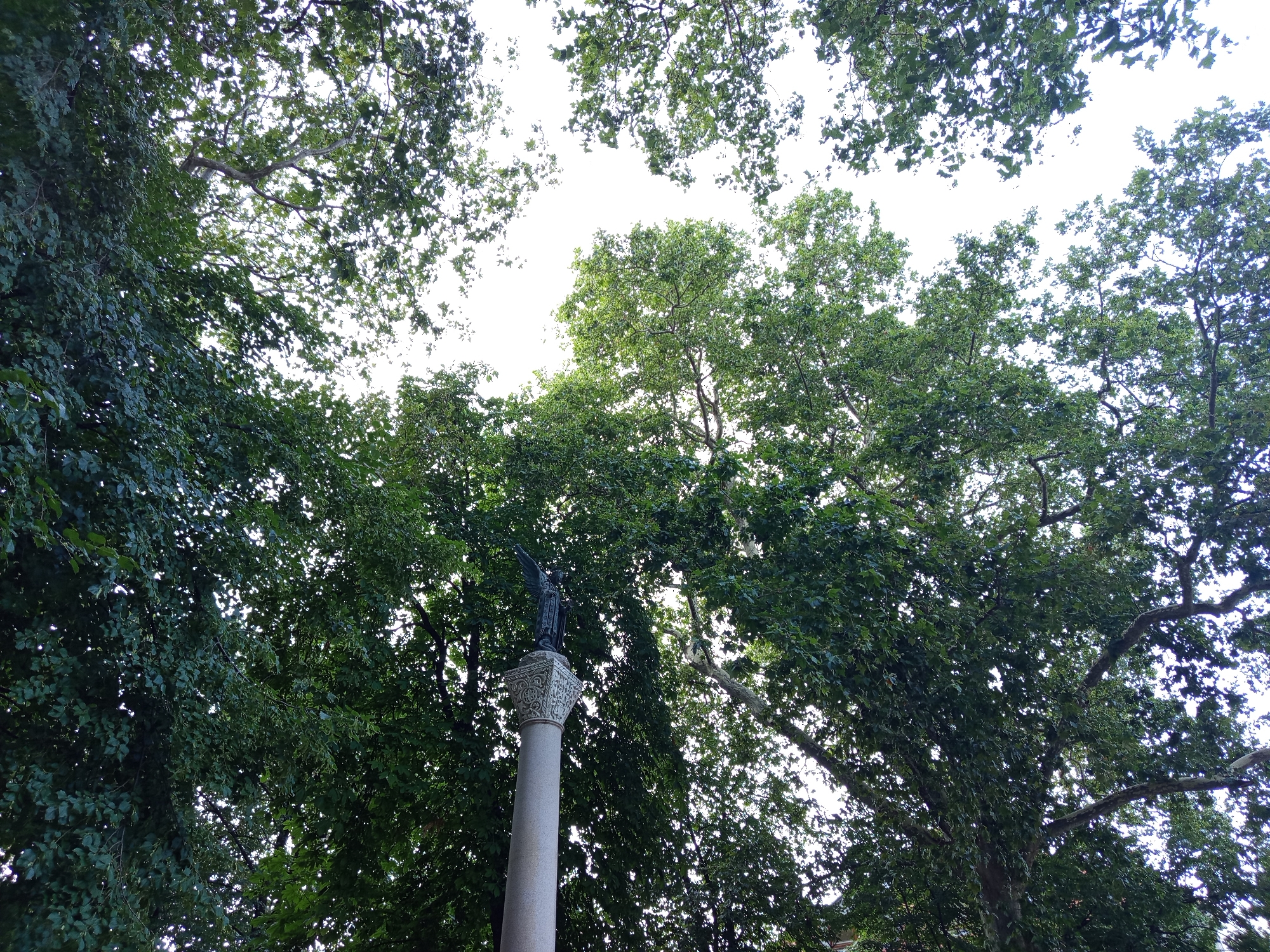 An outdoor, low-angle shot captures a stone monument topped with a dark statue, surrounded by the dense green foliage of trees against a bright, overcast sky. The monument consists of a tall, fluted column of light gray stone, with a decorative capital featuring carved patterns. Atop the capital stands a dark, winged statue, possibly depicting an angel, facing left and slightly upward. The statue is silhouetted against the sky, making its details difficult to discern. The surrounding trees are lush and leafy, with branches extending across the frame, creating a dappled effect of light and shadow. The overall impression is one of a serene, natural setting within an urban environment. This monument is located in Trebinje, Bosnia and Herzegovina, specifically in the city park.