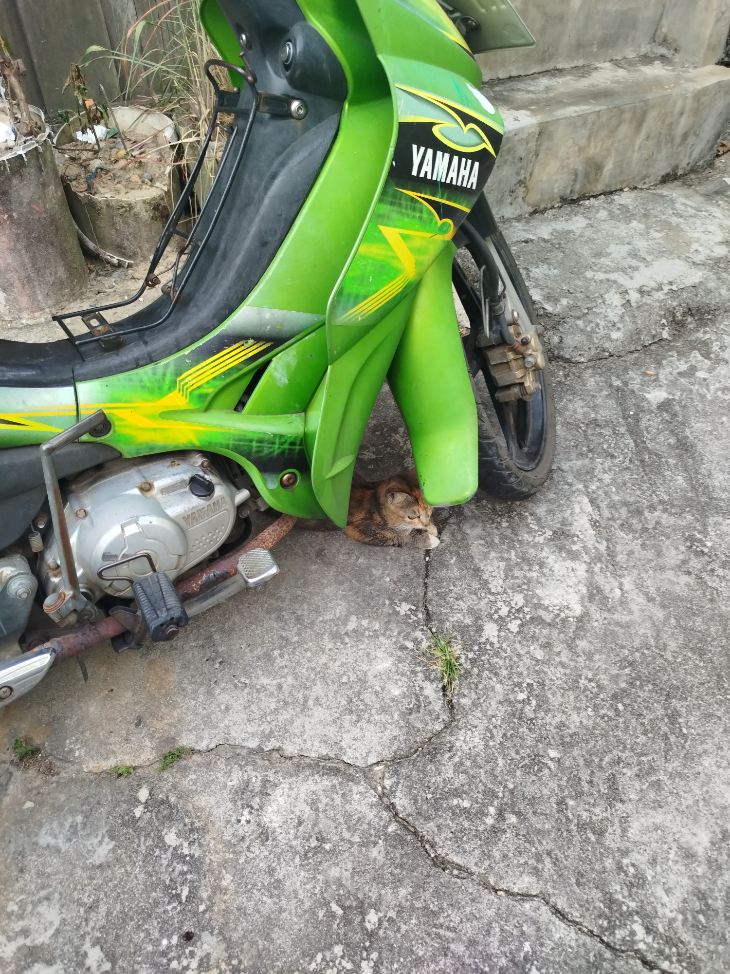 A brown and white cat rests on a concrete surface beneath a bright green motorcycle with "YAMAHA" branding. The motorcycle is parked on a weathered concrete surface, possibly a sidewalk or driveway, adjacent to a set of concrete stairs. The environment appears to be an outdoor urban or semi-urban setting in Balikpapan, Indonesia. The cat is curled up, appearing to sleep or rest in the shade provided by the motorcycle. The scene is captured from a slightly elevated perspective, looking down at the cat and the motorcycle.