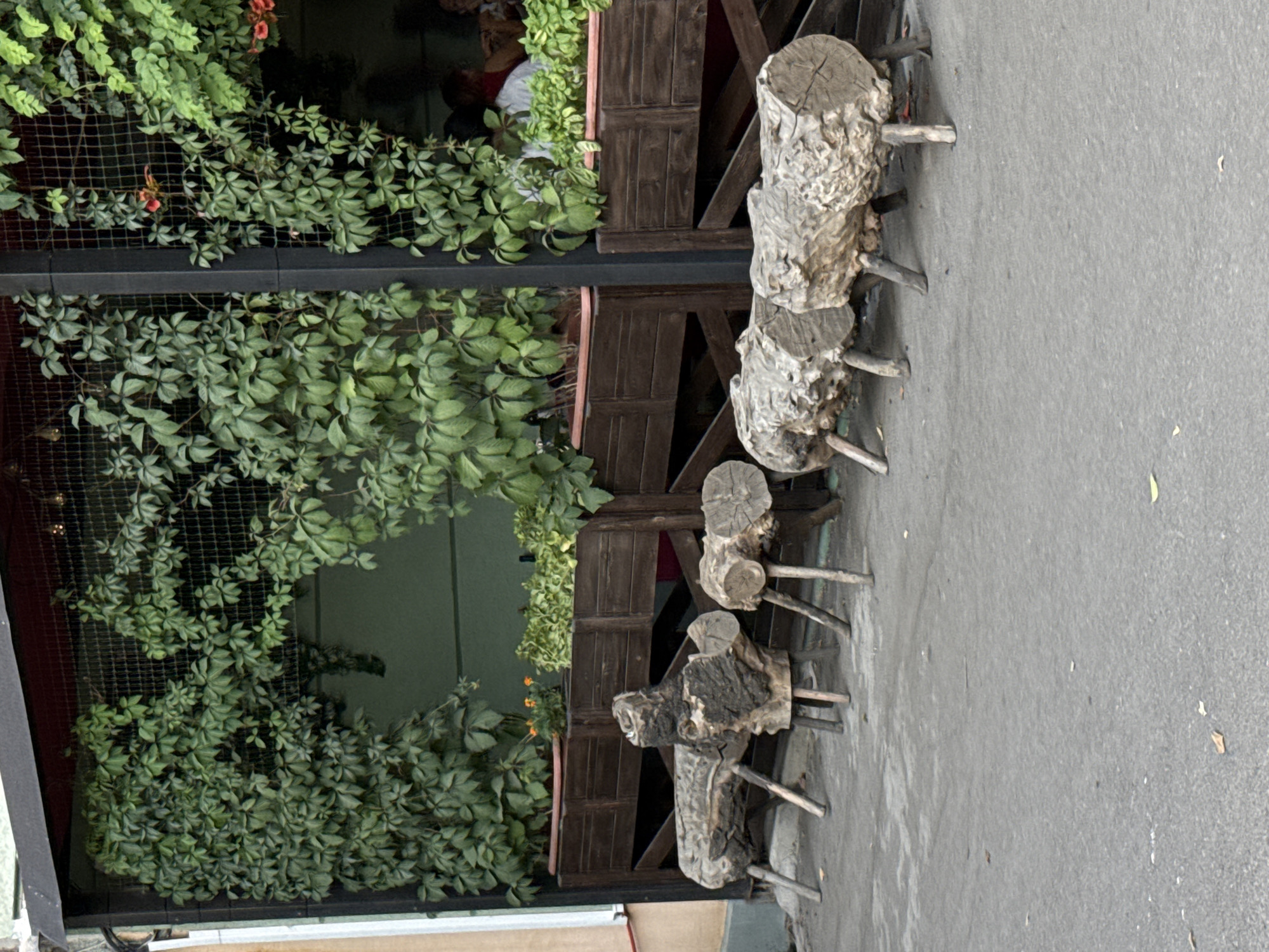 The image depicts an outdoor seating area in Bishkek, Kyrgyzstan, likely a cafe or restaurant. Several rustic benches, constructed from large logs with wooden legs, are arranged on a paved ground. Behind the benches, raised wooden planters are filled with lush green foliage and some flowering plants. A dark, slatted canopy structure with a wire mesh covering extends over the area, allowing some of the foliage to climb and grow. In the background, through the mesh and foliage, parts of people can be seen seated, suggesting the establishment is open for business. The overall impression is a natural, somewhat informal outdoor dining or seating space.