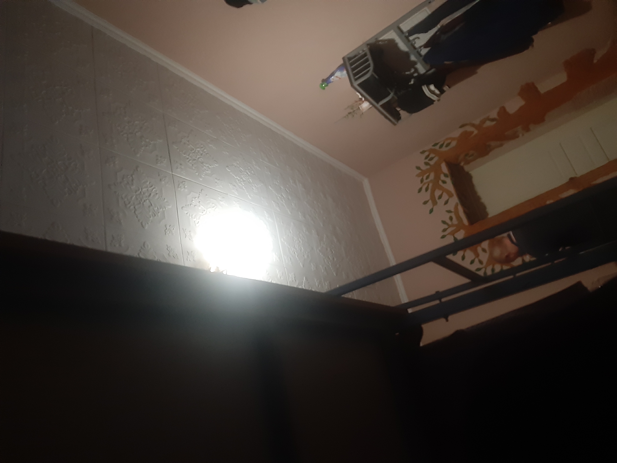 An indoor scene in Cricova, Moldova shows a room with a lightbulb illuminated on the ceiling, casting a bright light. A dark, large object, possibly furniture, occupies the left side of the frame, partially obscuring the view. On the right, a wall painted a light pink is visible, decorated with an orange and green tree mural near a doorway. A shelving unit with clothes hanging on it stands against the wall. A man with a bald head, wearing dark clothing, is partially visible in the lower right portion of the image, appearing to be interacting with the shelving unit. The ceiling is paneled with a textured floral pattern.