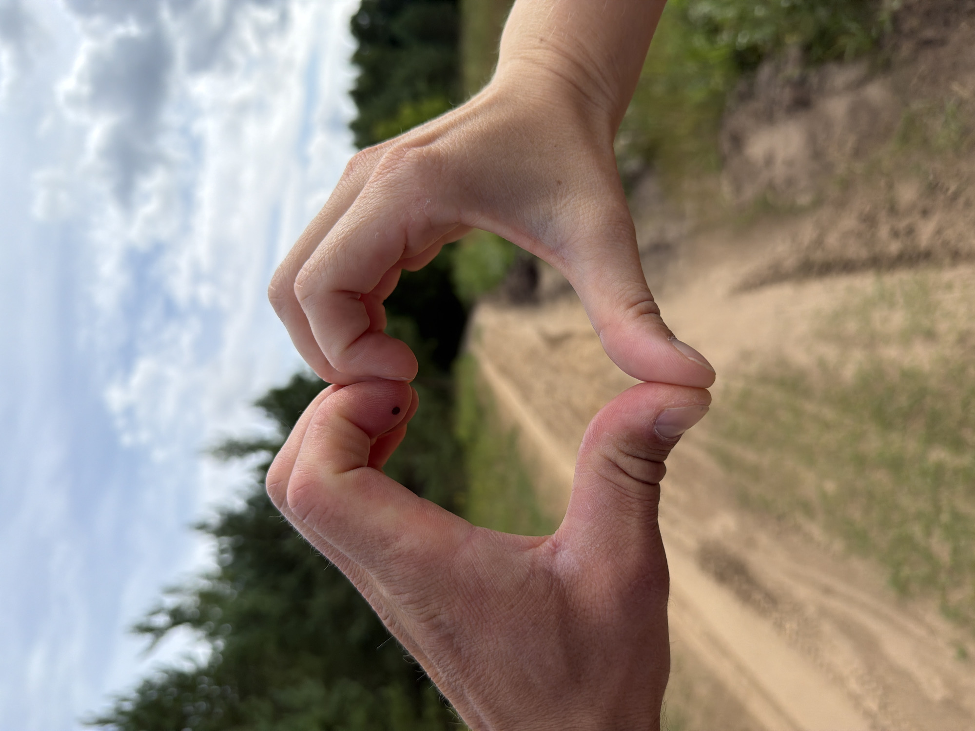Two hands form a heart shape in the foreground, with a dirt road stretching into the background. The road is lined with greenery on either side, and a forest is visible in the distance. The sky above is partly cloudy. The image was captured in Cekule, Latvia.