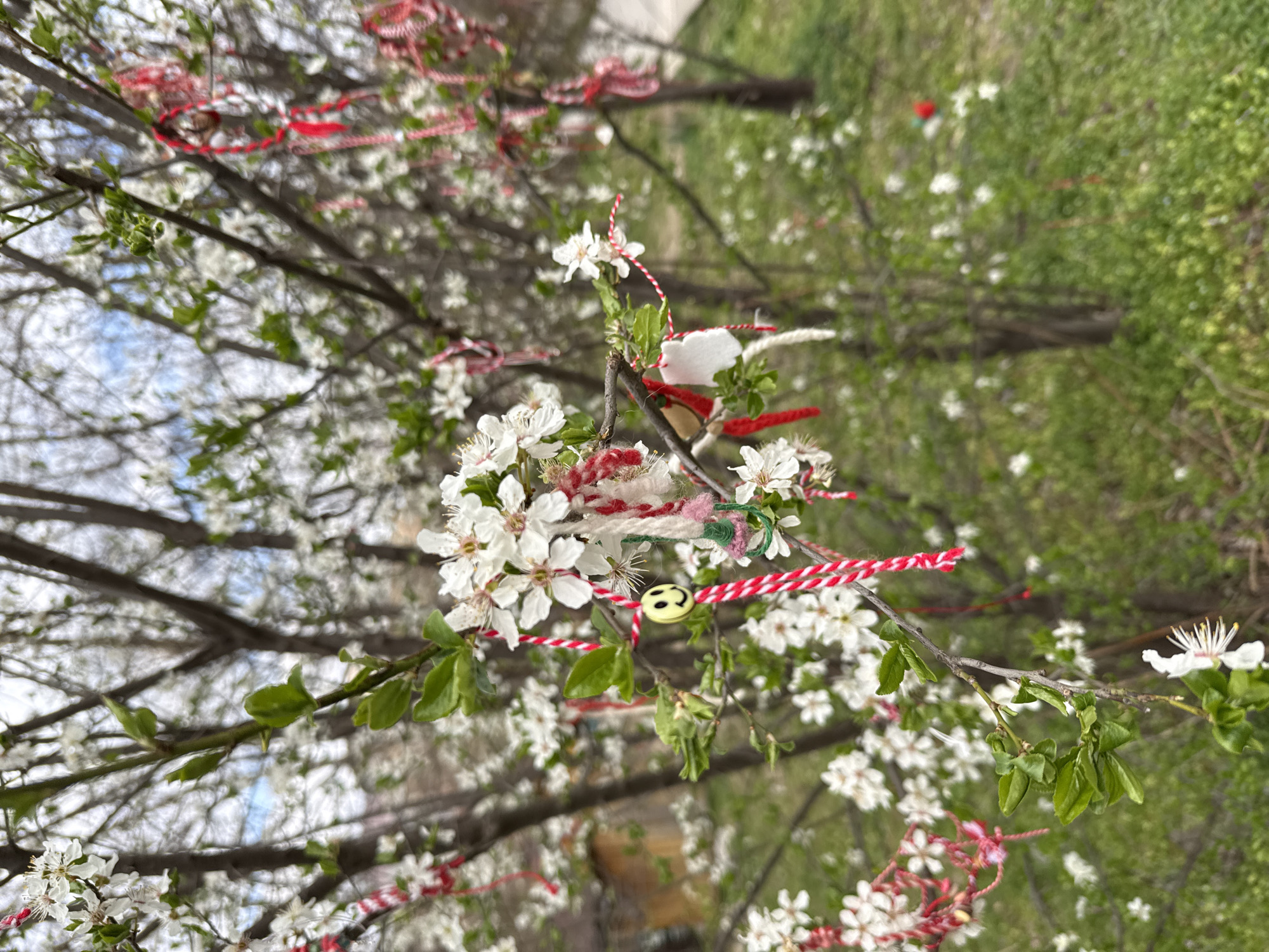 A close-up vertical image captures a blooming deciduous tree branch in Sofia, Bulgaria, adorned with multiple red and white martenitsi. The branch is covered in small white flowers with visible yellow stamens and interspersed with newly emerging green leaves. A prominent martenitsa on the central branch features a yellow circular bead with a black smiley face, attached to a braided red and white string. Other martenitsi include twisted red and white yarn, some with small green and pink woolen components, and a white felt shape. The blurred background reveals additional trees also in white bloom and similarly decorated with martenitsi. Green ground cover is visible below the trees, and a faint, distant structure with an orange-brown hue is discernible on the far left. The sky, partially visible through the upper branches, is light blue with diffuse cloud cover. The scene depicts an outdoor environment during early spring.