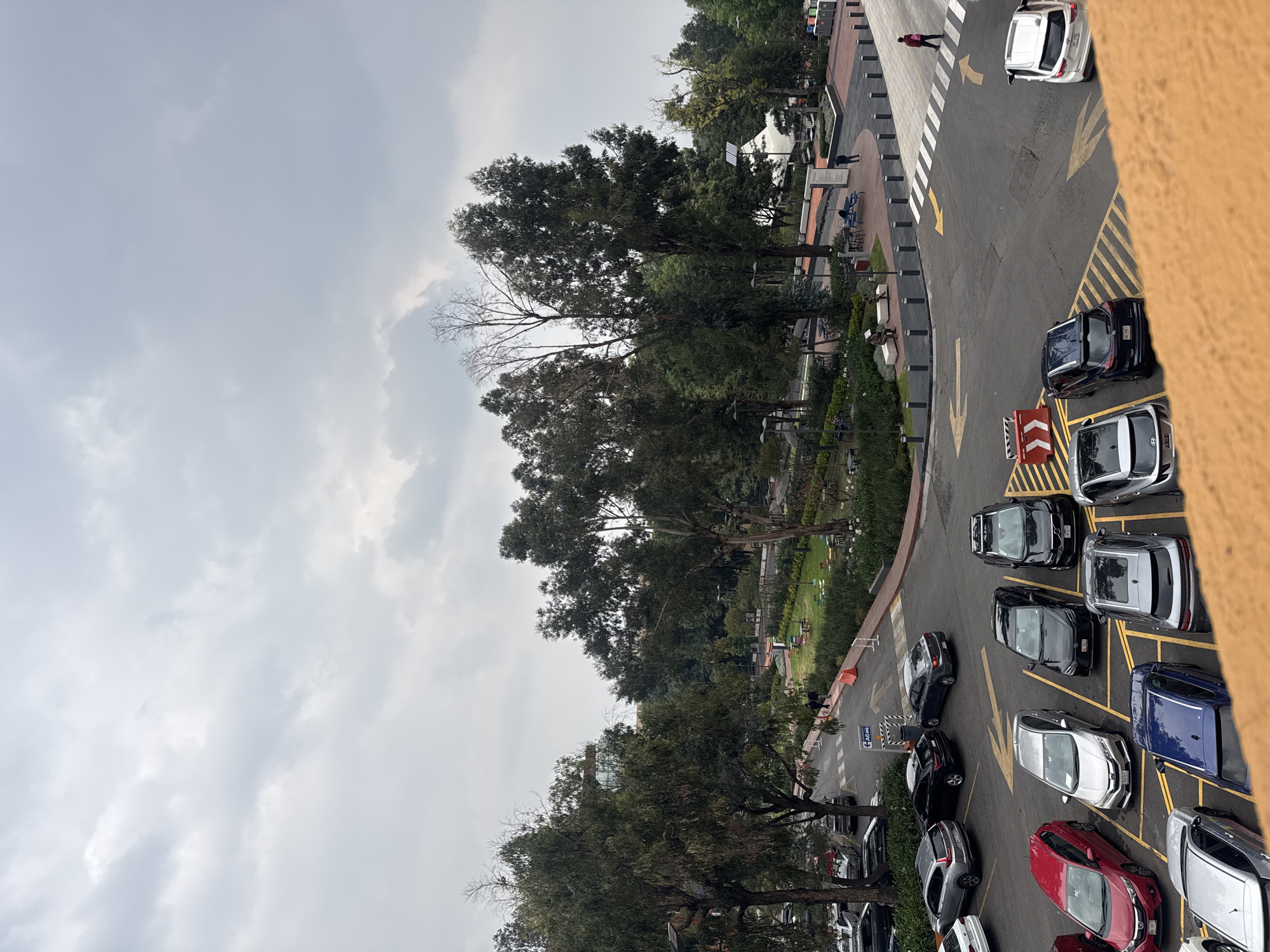 The image shows a view from a high vantage point, possibly from a building, overlooking a street and parking area in Mexico City, Mexico. The sky is overcast. A row of trees separates the parking lot from a green space, which may be a park or garden, where benches and other park furnishings are visible. Cars of various colors are parked in designated spots marked with yellow lines in the parking lot. Pedestrian crosswalk markings indicate a pedestrian area. A person is walking on the sidewalk area next to the parking lot. The angle of the photograph suggests it was taken looking downwards from a height.