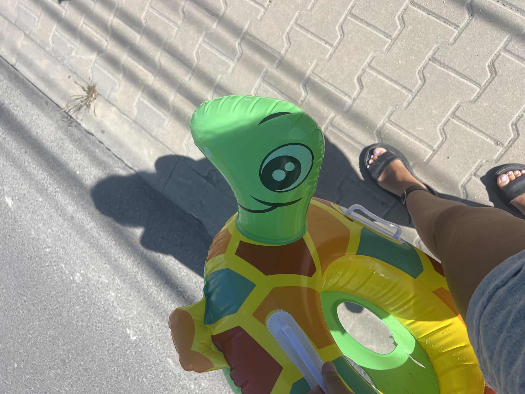 This media file captures a bright, sunny day in Năvodari, Romania. The scene is set outdoors on a paved walkway, likely near a body of water given the presence of a colorful inflatable turtle. The walkway is made of interlocking grey rectangular pavers.
The primary object in focus is a large, inflatable swimming ring shaped like a cartoon turtle. It is primarily green with a colorful shell featuring yellow, orange, and brown hexagonal patterns. The turtle's head is a bright green with large, black and green cartoon eyes. The ring has white handles attached to its sides. A person's hands are visible near the ring, one holding a white object with bristles, possibly a cleaning brush.
In the background, to the right of the turtle, a person's legs are visible, wearing denim shorts and black sandals. Their toenails are painted a light purple color. The person is standing on the paved walkway, casting a distinct shadow.
To the left of the turtle, also on the walkway, a small cluster of dried grass or plant material is visible, with a faint shadow cast nearby. The lighting suggests it is midday, with strong sunlight creating sharp shadows, indicating clear weather. The overall impression is one of leisure and an upcoming or recently concluded activity involving the pool or beach. There is no visible text in the media file.