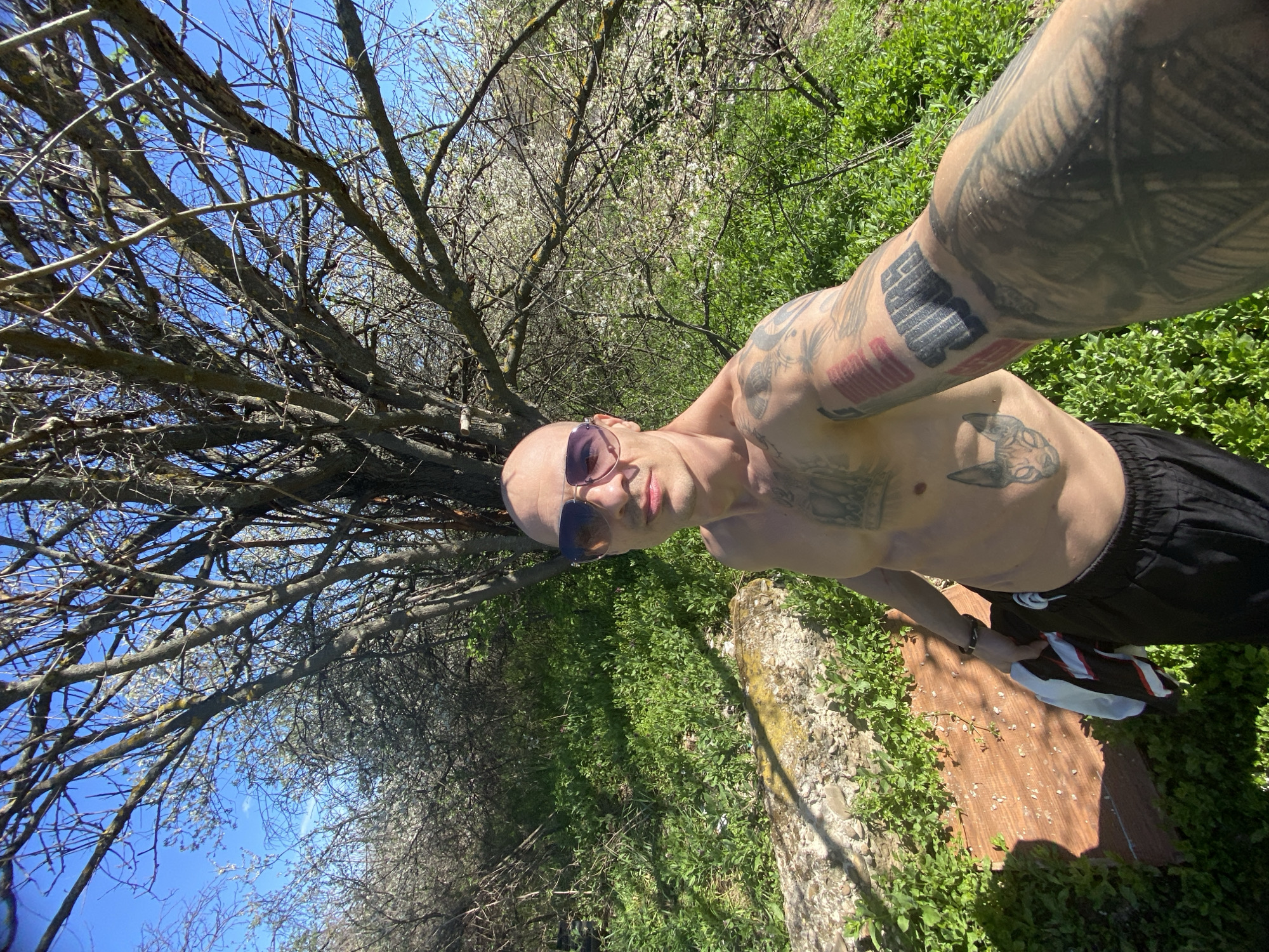 A bald, fair-skinned individual with tattoos on their arms and torso is the focal point of an outdoor selfie taken in the city of Pleven, Bulgaria. The person is shirtless, wearing black shorts, and sporting sunglasses. They are standing amidst green vegetation and are positioned in front of a tree with bare branches against a clear blue sky. A concrete or stone structure is visible on the ground near the individual. Part of a shoe and possibly a piece of clothing is also discernible.