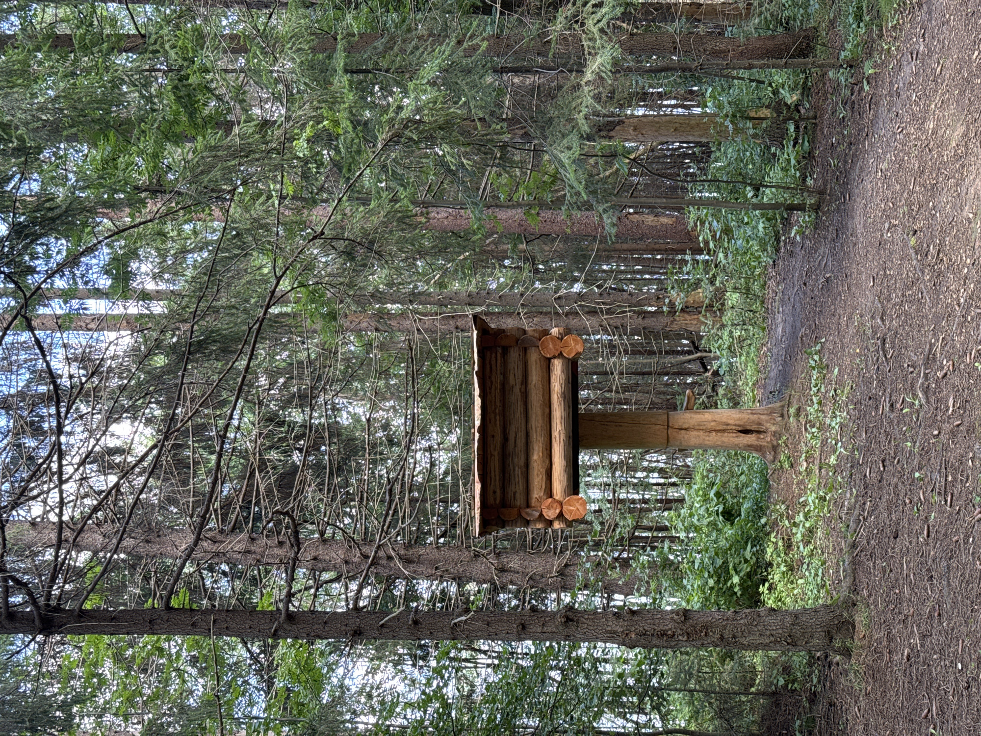 The image shows a wooden structure resembling a bird feeder or information stand in a forest setting. The structure is made of logs, with a flat wooden roof and a single wooden post supporting it. It is situated on a dirt path surrounded by tall pine trees and dense green undergrowth. The ground is covered with pine needles and small branches. The sky is visible through the trees, suggesting an outdoor, natural environment. The location is identified as Gora (Khokhlovskoe S/P), Russia. There are no people or animals visible in the image.