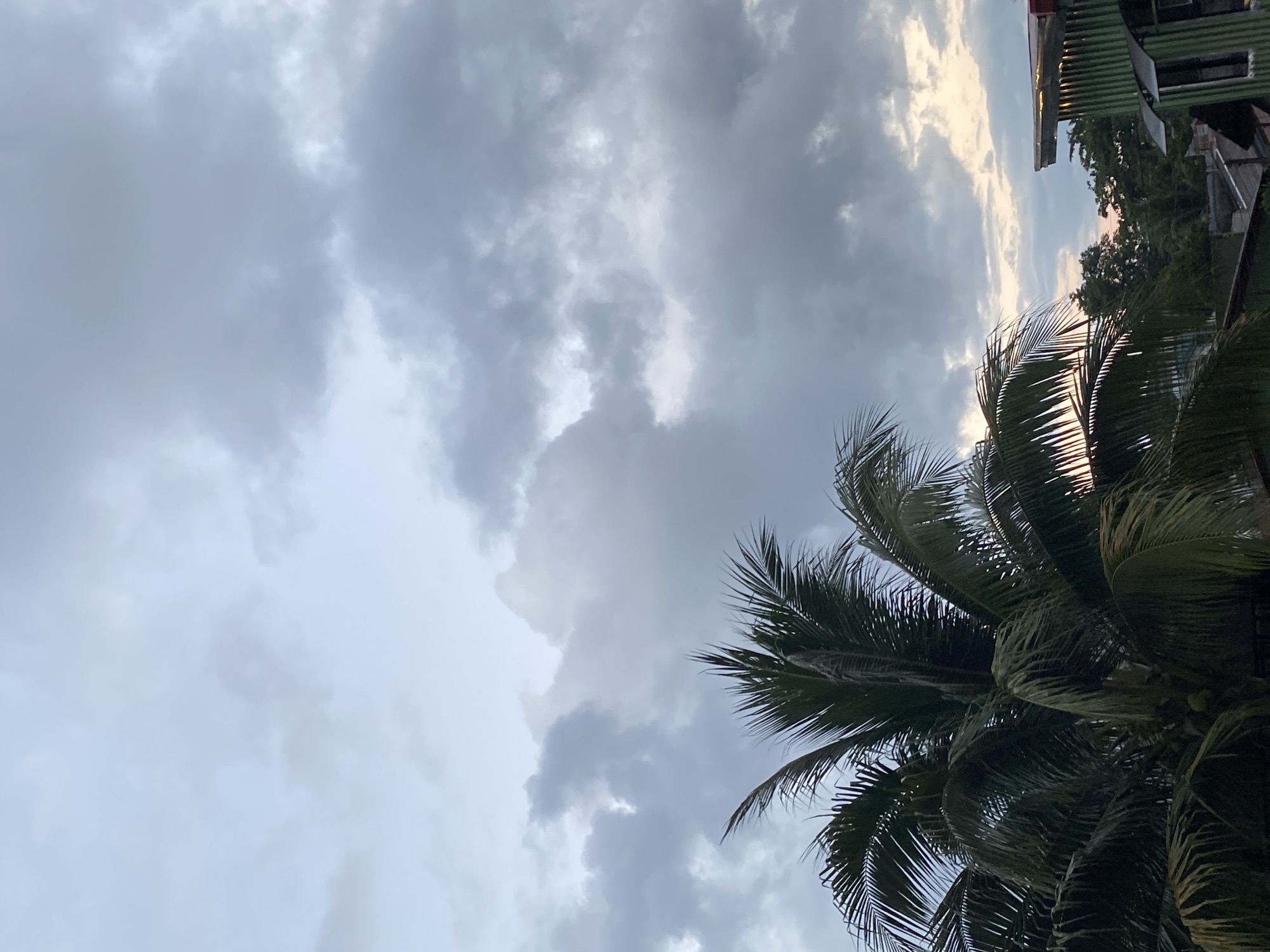 The image captures a view of the sky over Davao City, Philippines, on an overcast day. In the foreground, a large coconut palm tree dominates the left side of the frame, its fronds dark green and lush. To the right, glimpses of rooftops and buildings are visible, some with corrugated metal siding, suggesting a residential or mixed-use urban area. The sky is filled with dramatic, heavy grey clouds, with hints of lighter tones and a faint sunset glow peeking through on the right horizon. The overall atmosphere is moody and serene, characteristic of cloudy weather in a tropical climate.