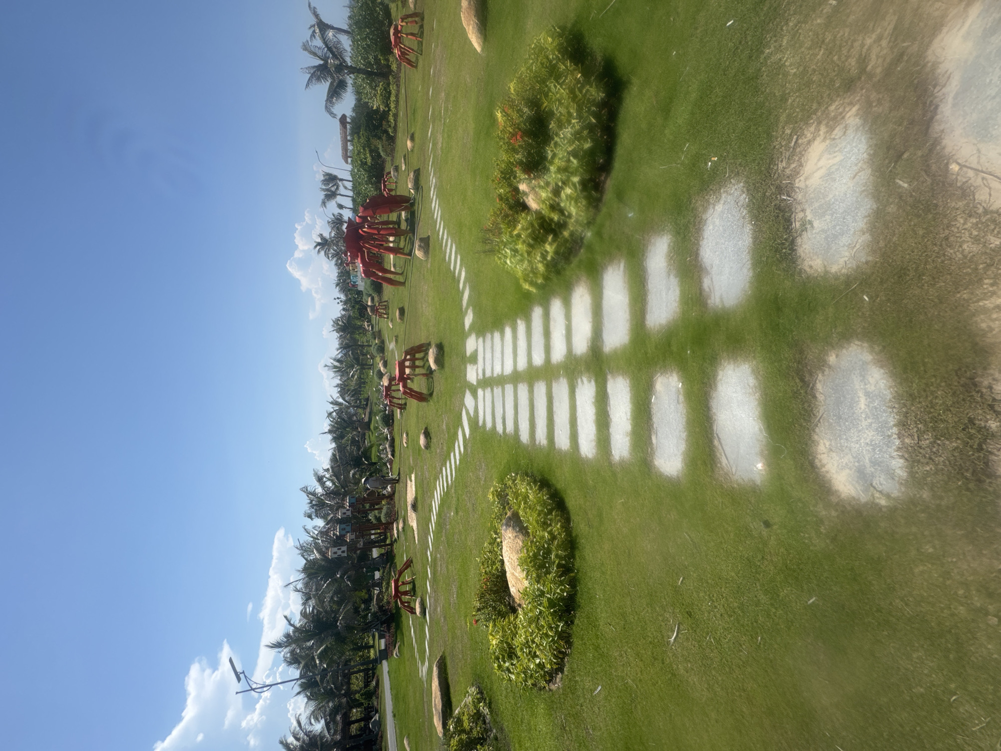 The image depicts a well-maintained park on a sunny day, likely in Bac Cam Ranh Ward, Vietnam. The foreground features a meticulously manicured green lawn with a path made of light gray, rectangular stepping stones that forks into two directions. Surrounding the path are circular garden beds filled with lush green plants and a few large, rounded stones. In the mid-ground, several bright red, abstract sculptures resembling crabs are scattered across the lawn. These sculptures vary in size, with one particularly large one in the center. Behind the crab sculptures, a line of palm trees creates a natural backdrop. Further in the distance, more palm trees and some small, thatched-roof structures can be seen. The sky is a clear, vibrant blue with a few wispy white clouds. The overall impression is of a recreational area designed with a playful, natural theme.