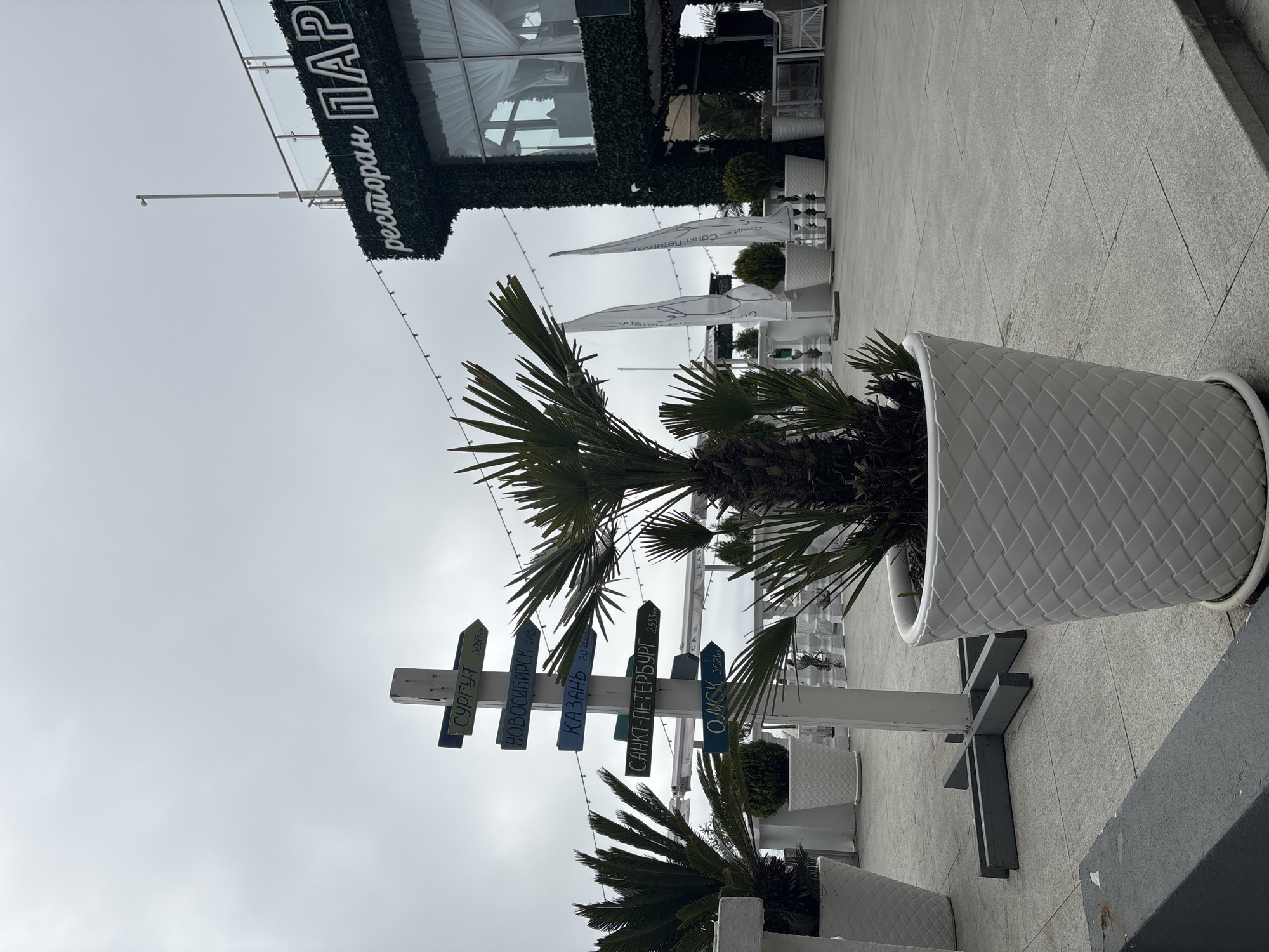 The image shows an outdoor scene in what appears to be a pedestrian area. A signpost with directions and distances to various cities written in Russian is visible; cities mentioned include Surgut, Novosibirsk, Kazan, Saint Petersburg, and Omsk. The signpost is decorated with palm trees in white planters. A building with the Russian word "ресторан ПАРК" (Restaurant Park) is in the background. The sky is overcast. Based on the Cyrillic text and general aesthetic, it's likely located in or around Sochi, Russia. The scene seems to be a restaurant's outdoor seating area.