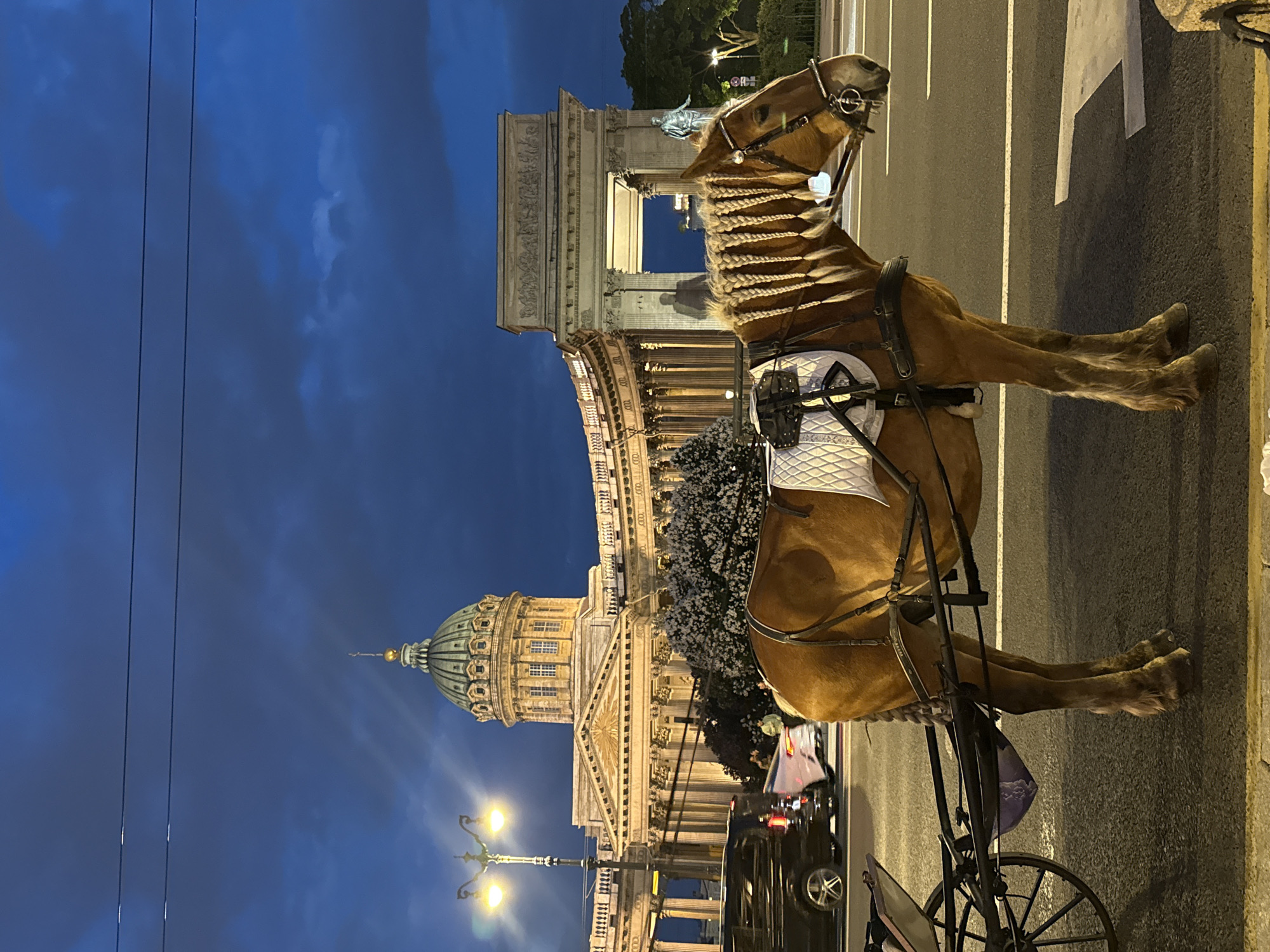A horse-drawn carriage is positioned on a city street at night in Saint Petersburg, Russia. A sturdy brown horse with an elaborately braided mane and tail stands prominently in the foreground, facing right and harnessed to a dark carriage. Its front legs are visible on the asphalt road, which features white lane markings.
In the background, two significant architectural landmarks are illuminated. To the left, the majestic Kazan Cathedral stands with its distinctive large dome, classical portico, and semi-circular colonnade. Streetlights cast a warm glow on its facade and the surrounding area. To the right, behind the horse's head, a grand classical archway is visible, adorned with intricate sculptures and reliefs, and featuring a statue within its opening.
The scene is set at night or twilight, indicated by the deep blue sky with subtle cloud formations and the artificial lighting from street lamps and building illuminations. A dark car is partially visible near the rear of the carriage. The image captures a blend of historical grandeur and an old-world mode of transport on a modern city street. No clearly legible text is visible in the image.