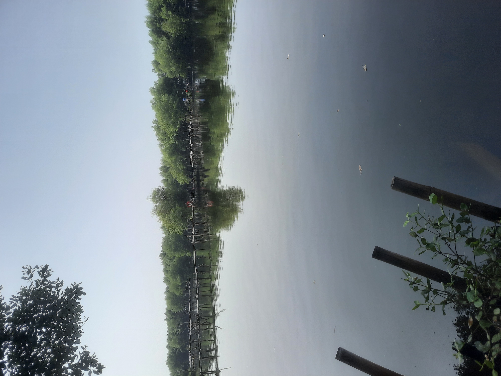 This is a medium-shot photograph of a tranquil mangrove forest area. In the foreground, the dark, still water reflects the lush green trees lining the opposite bank. Several wooden posts, partially submerged, emerge from the water, with some green foliage growing around them. A wooden boardwalk, supported by stilts, stretches across the water in the mid-ground, leading into the mangrove forest. A few individuals are visible on or near the boardwalk, appearing to be enjoying the scenery. The sky above is a pale, hazy blue, suggesting a bright but possibly overcast day. The overall impression is one of natural beauty and peacefulness. This scene is consistent with the mangrove areas found in North Jakarta, Indonesia, such as those in the Angke Kapuk Nature Park or PIK 2 Mangrove area.
