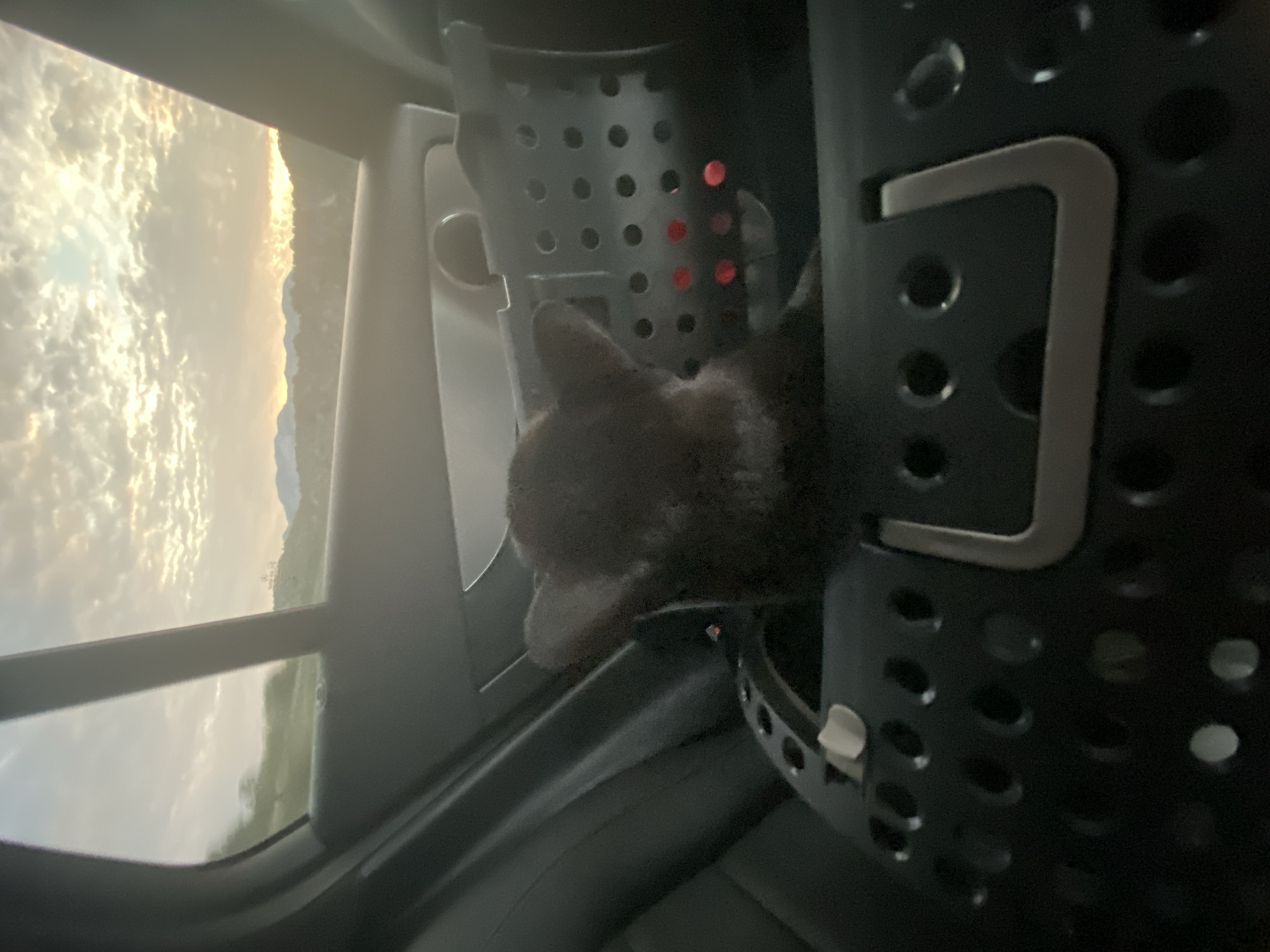 A close-up shot, taken from inside a vehicle, features a dark-colored pet carrier with a dark-colored cat looking out. The cat's head and ears are visible, with its body mostly obscured by the carrier. The carrier itself is black plastic with numerous circular holes. The exterior of the carrier has a silver metal latch. To the left of the carrier, a window reveals a cloudy sky with hints of sunset lighting. The sky is bright with diffused sunlight illuminating the clouds, creating a golden hue. In the distance, through the window, a green landscape with rolling hills or mountains is visible. The scene is likely taking place in a rural or semi-rural area, given the landscape. The overall impression is that the cat is traveling in a car, with the sun setting outside. No visible text is present in the image.