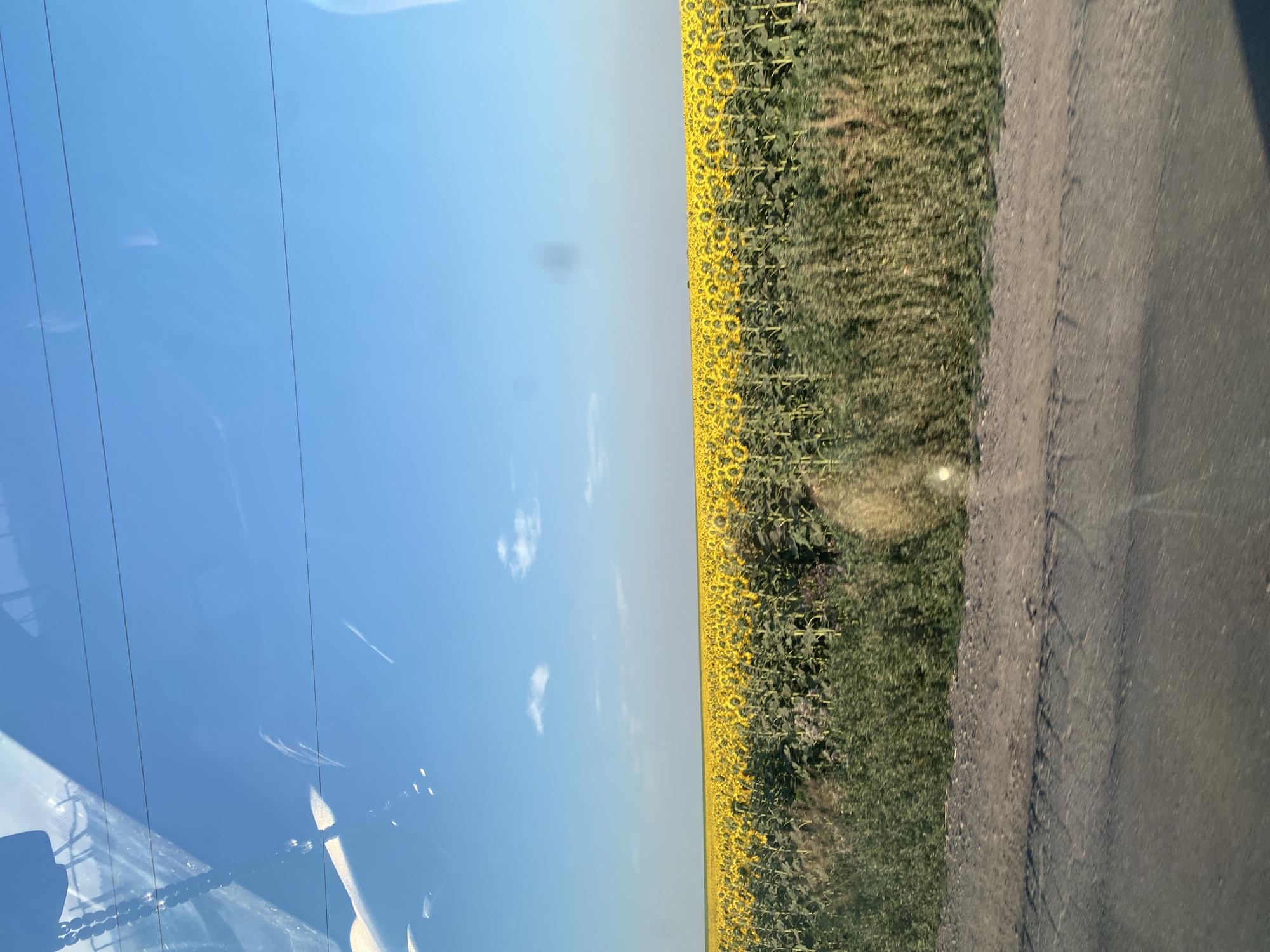 The image depicts a vast field of sunflowers under a clear blue sky. The sunflowers are in full bloom, their yellow petals creating a vibrant blanket that stretches to the horizon. The field is bordered by a dense growth of green foliage. In the foreground, a dirt road runs parallel to the field. The scene is captured from a moving vehicle, as indicated by the reflections on what appears to be a windshield. The location is stated to be in the city of Maiske, Ukraine.