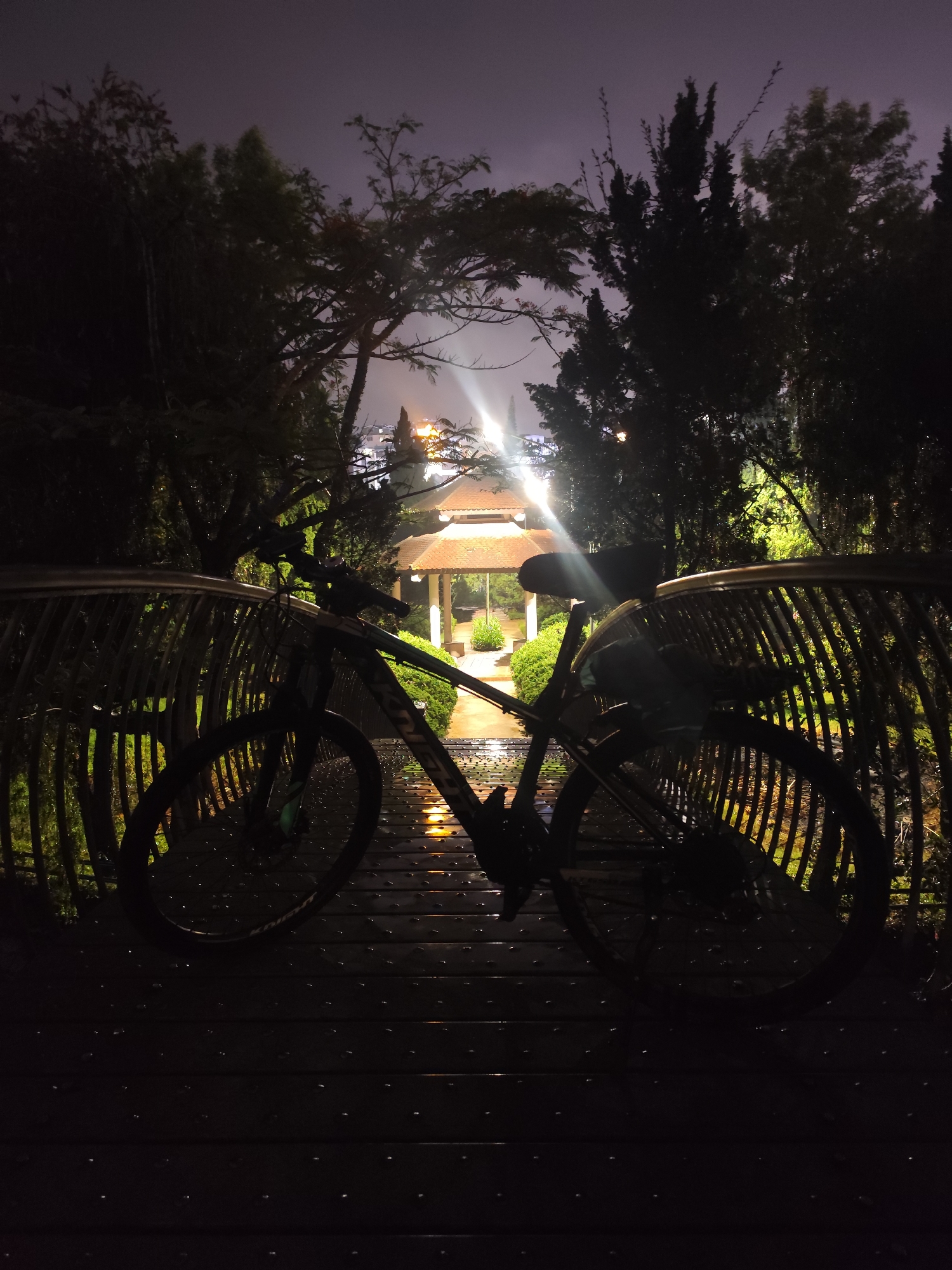 The vertical photograph captures a serene nighttime scene in an outdoor setting, likely a park or garden in Da Lat, Vietnam. A mountain bike, predominantly silhouetted, is positioned in the mid-ground on a dark, wet, slatted surface, facing towards the background. Its frame and components appear dark, contrasting with faint reflections of artificial light.
The ground beneath the bicycle is a dark, slatted pathway or bridge, glistening with numerous water droplets that reflect ambient light, indicating recent rain or high humidity. A decorative railing or fence, made of vertical metal or wooden slats, runs across the mid-ground, separating the viewer from the distant elements. The bicycle is situated in front of this railing, with parts of it visible through the slats.
Dense, dark foliage and trees frame the scene, forming an archway through which a brightly lit gazebo or pavilion is visible in the background. The gazebo features a distinctive, multi-tiered roof and is partially obscured by intense light sources originating from behind it, creating significant lens flares and reflections. These lights illuminate parts of the gazebo and some of the surrounding greenery. The sky above is dark, with only faint, indistinct details visible through the tree canopy.
The overall mood is quiet and contemplative, emphasized by the darkness, the soft glow of artificial lights, and the wet, reflective surfaces. On the front tire of the bicycle, the brand name "KENDA" is partially visible. The scene suggests a peaceful interlude during a night ride in a landscaped area.